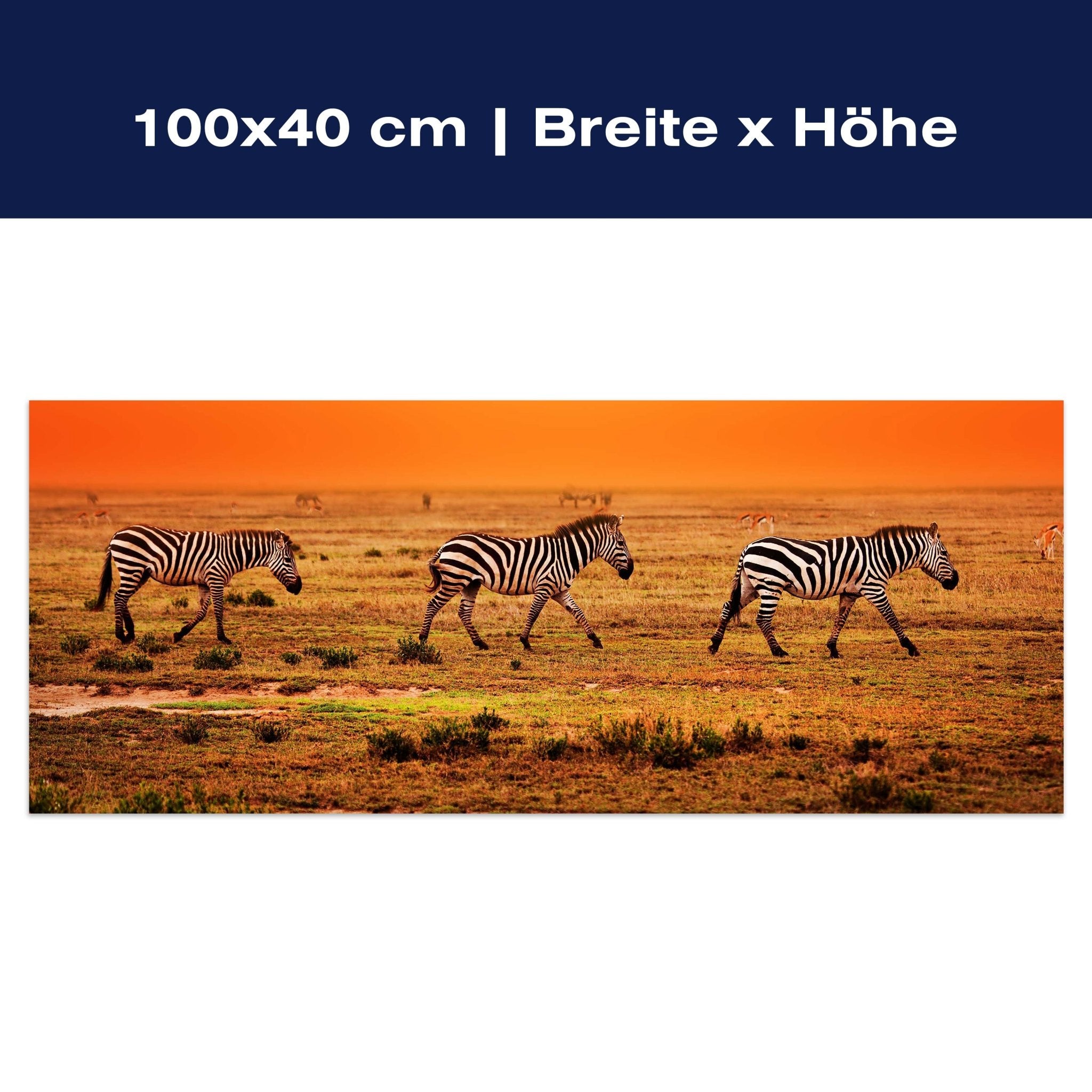 Leinwandbild Zebras in der Savanne M0403 Leinwandbild Zebras in der Savanne M0403