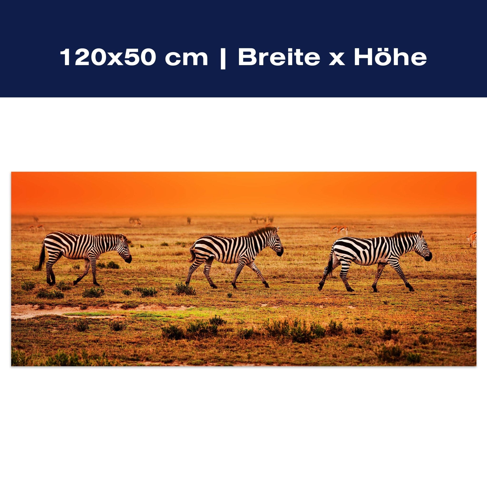 Leinwandbild Zebras in der Savanne M0403 Leinwandbild Zebras in der Savanne M0403