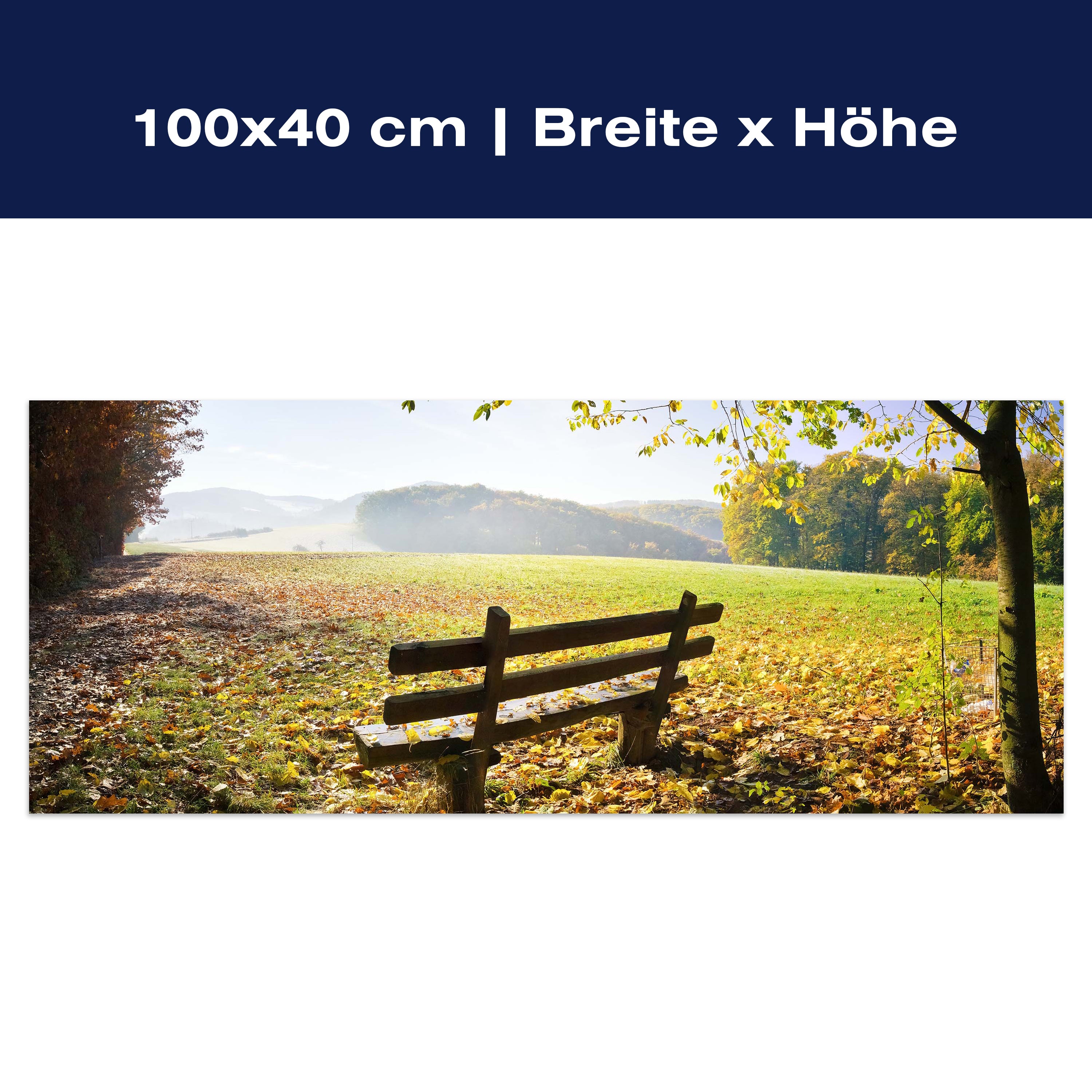 Leinwandbild Parkbank im Herbst M0415 Leinwandbild Parkbank im Herbst M0415
