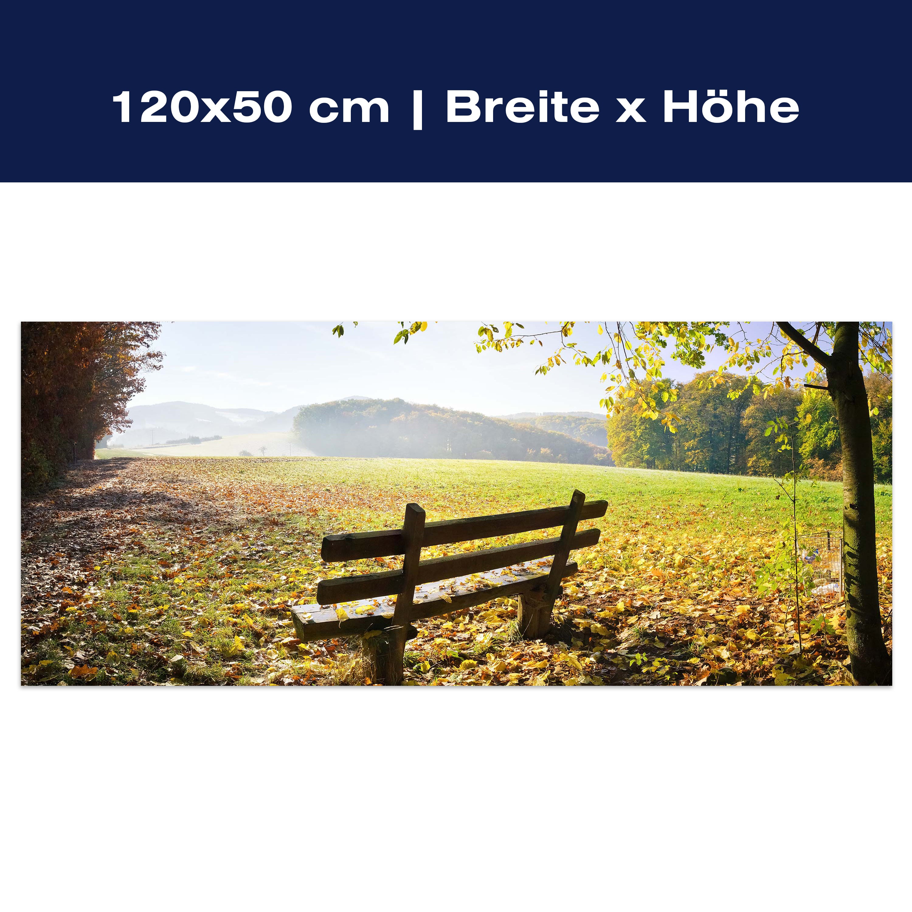 Leinwandbild Parkbank im Herbst M0415 Leinwandbild Parkbank im Herbst M0415