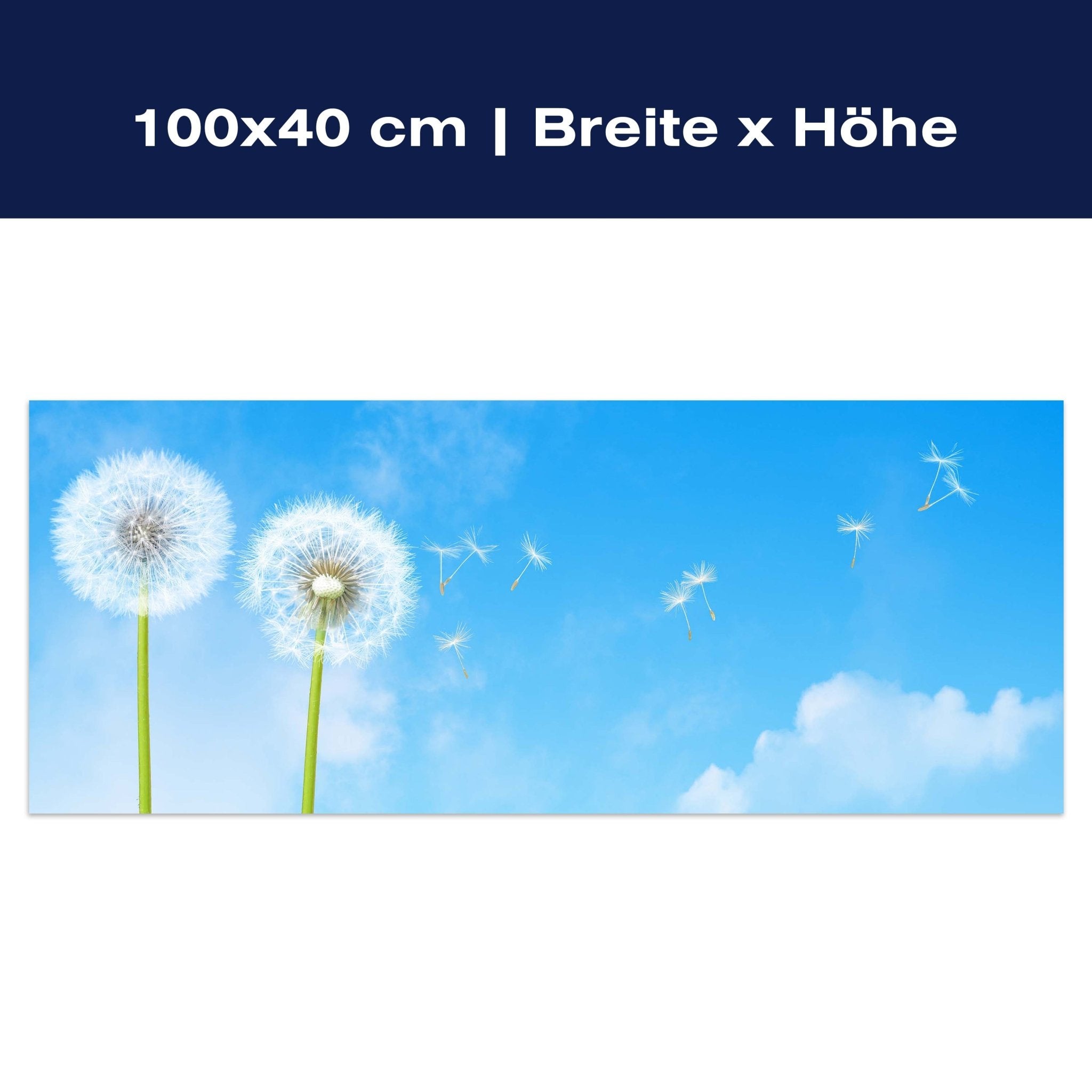 Leinwandbild Pusteblumen M0416 Leinwandbild Pusteblumen M0416