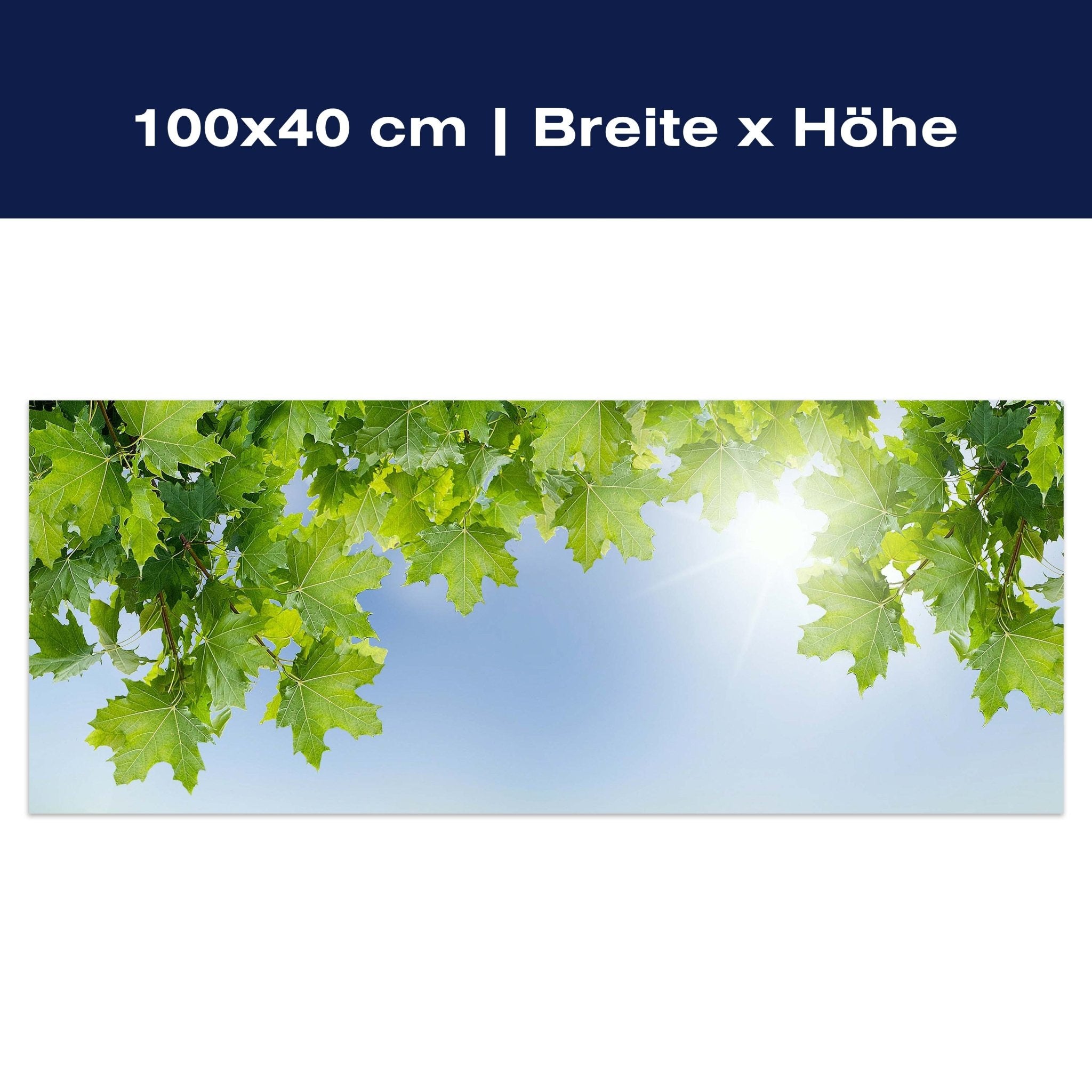 Leinwandbild Weißer Zaun mit Ahornzweigen M0419 Leinwandbild Weißer Zaun mit Ahornzweigen M0419