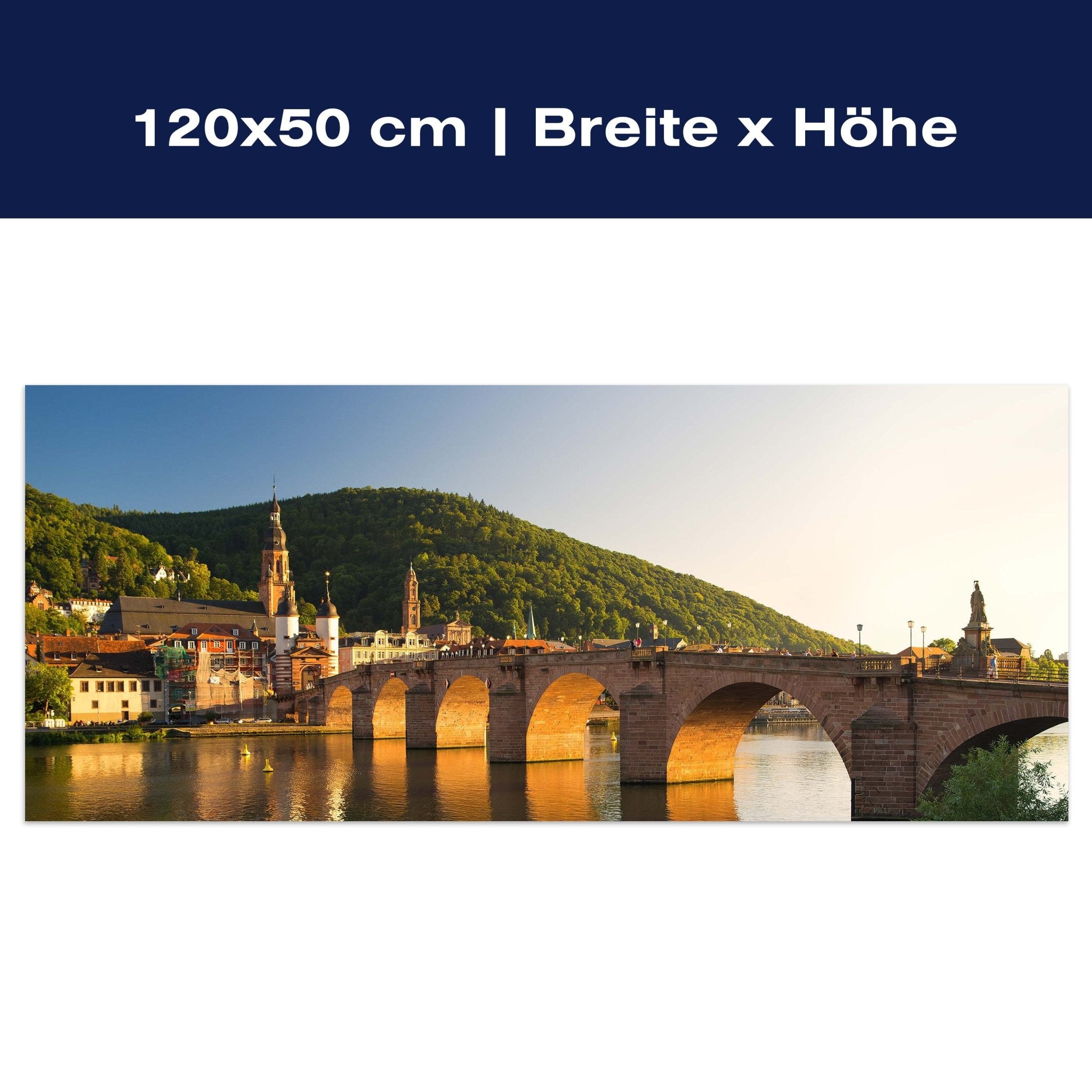 Leinwandbild Alte Brücke Heidelberg M0447