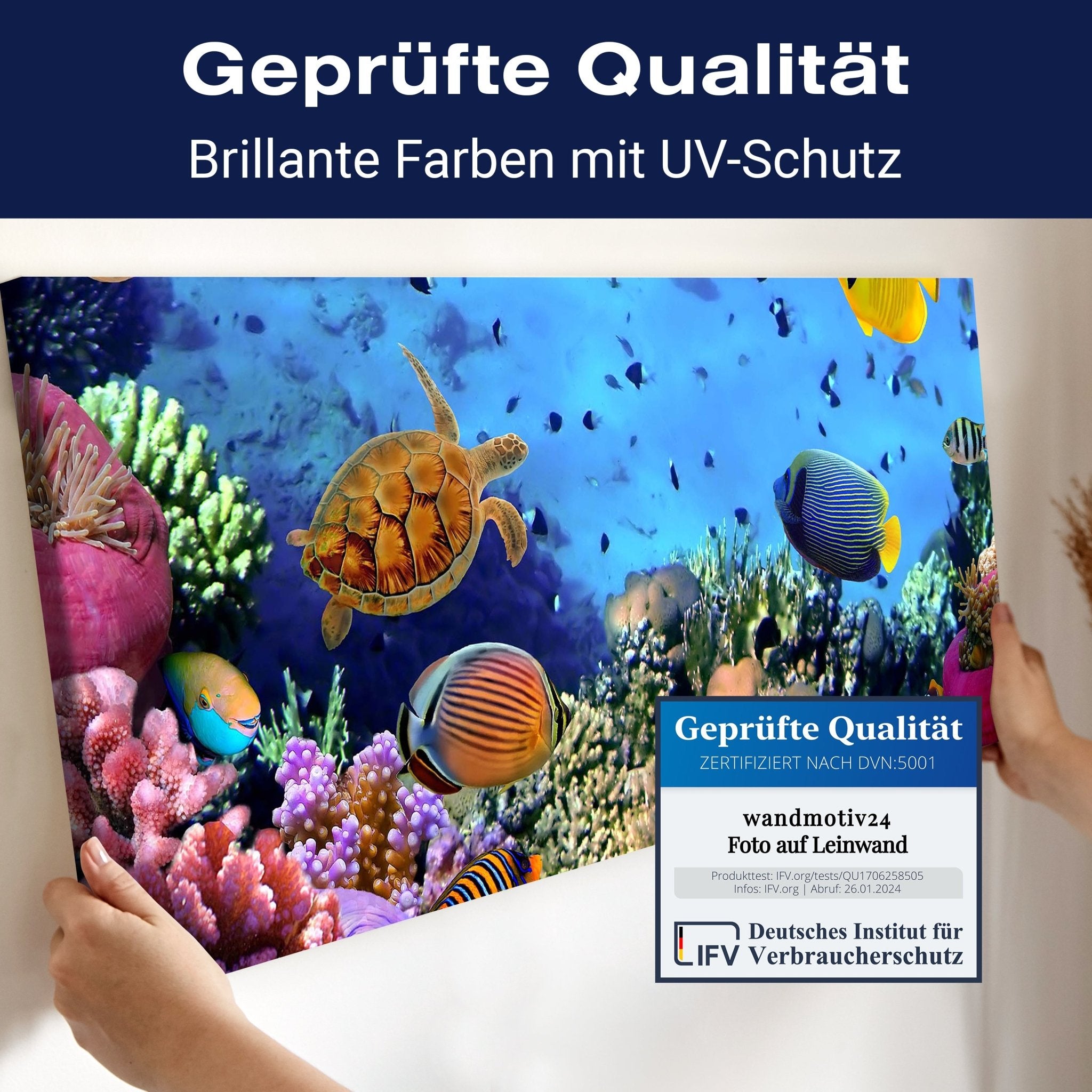 Leinwandbild Korallenriff mit Fischen M0480 kaufen - Bild 4 Leinwandbild Korallenriff mit Fischen M0480 kaufen - Bild 4