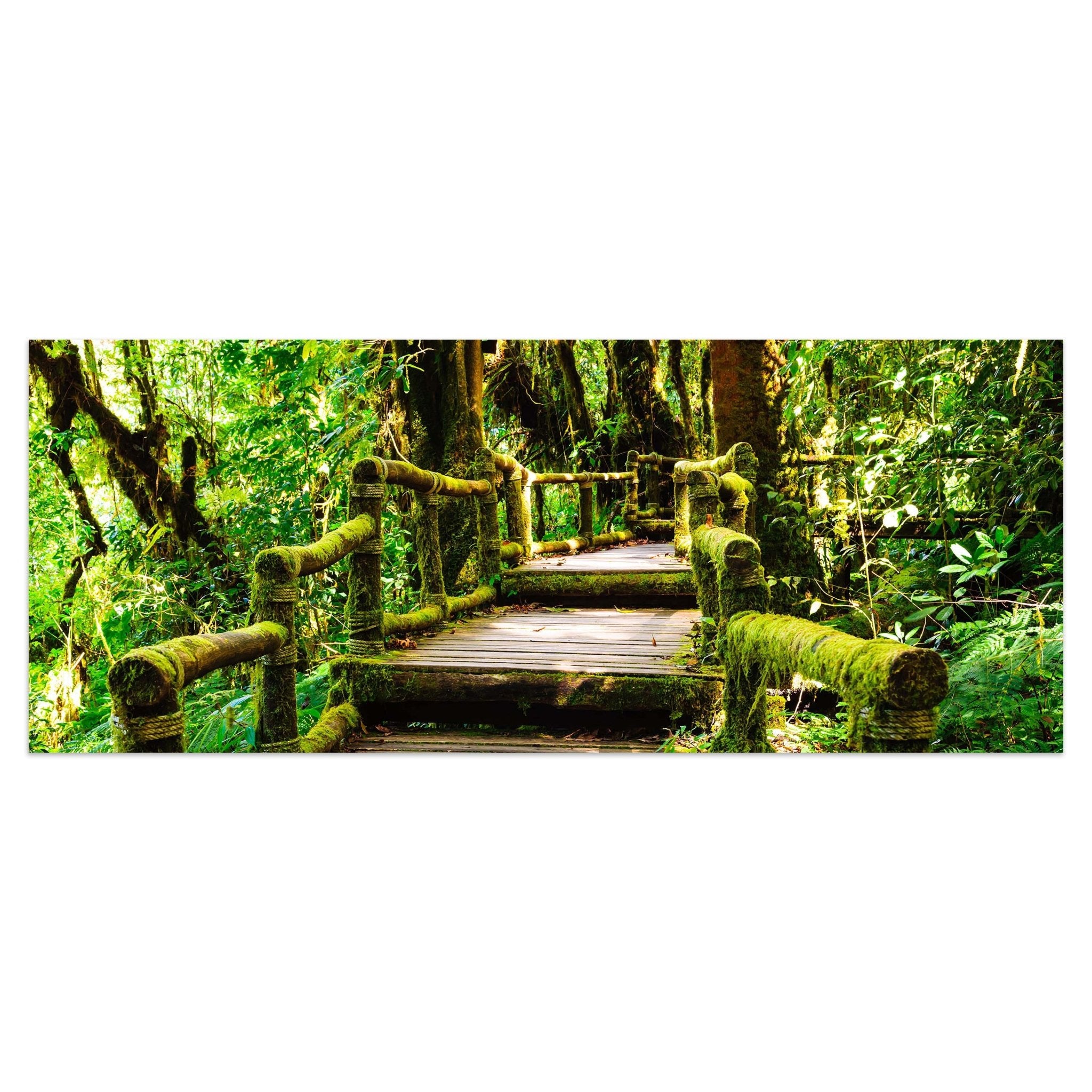 Leinwandbild Treppe im Urwald M0486 kaufen - Bild 1 Leinwandbild Treppe im Urwald M0486 kaufen - Bild 1