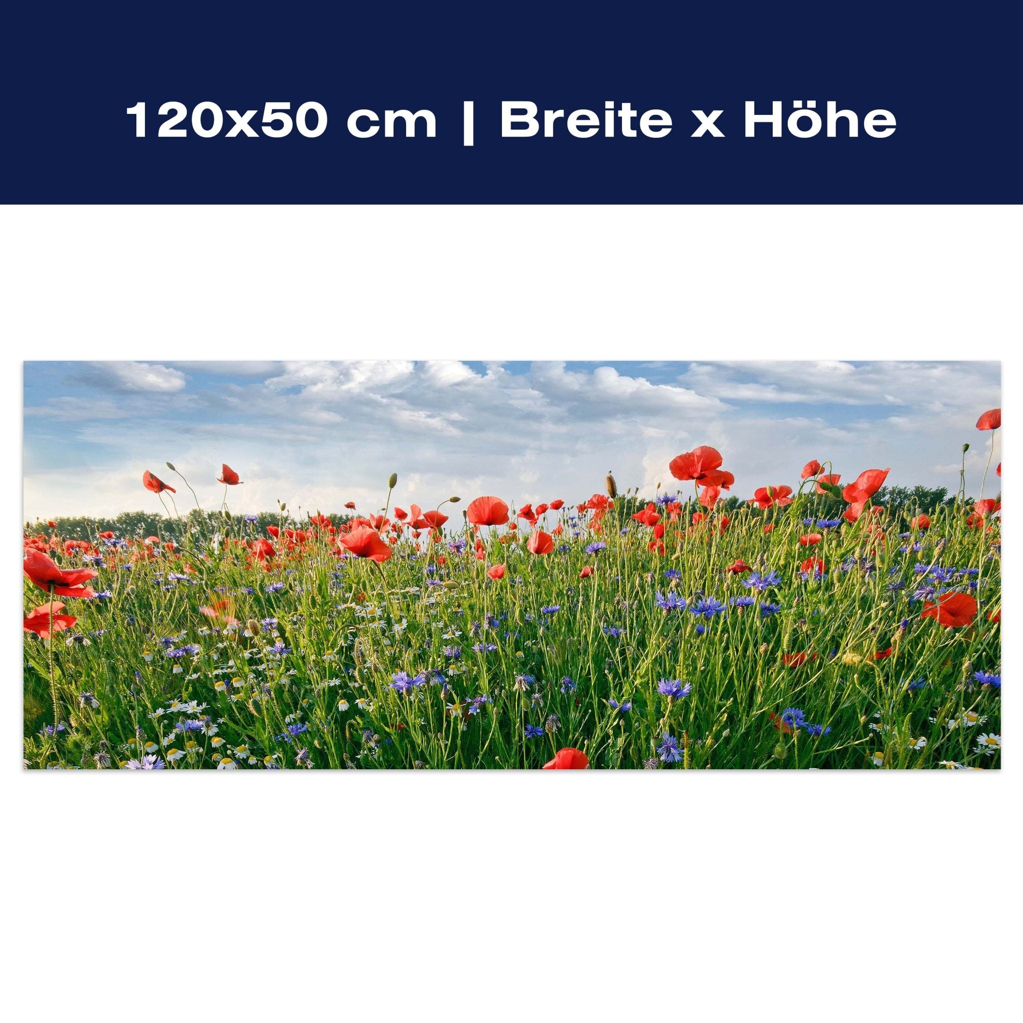 Leinwandbild Blumenwiese M0493 Leinwandbild Blumenwiese M0493