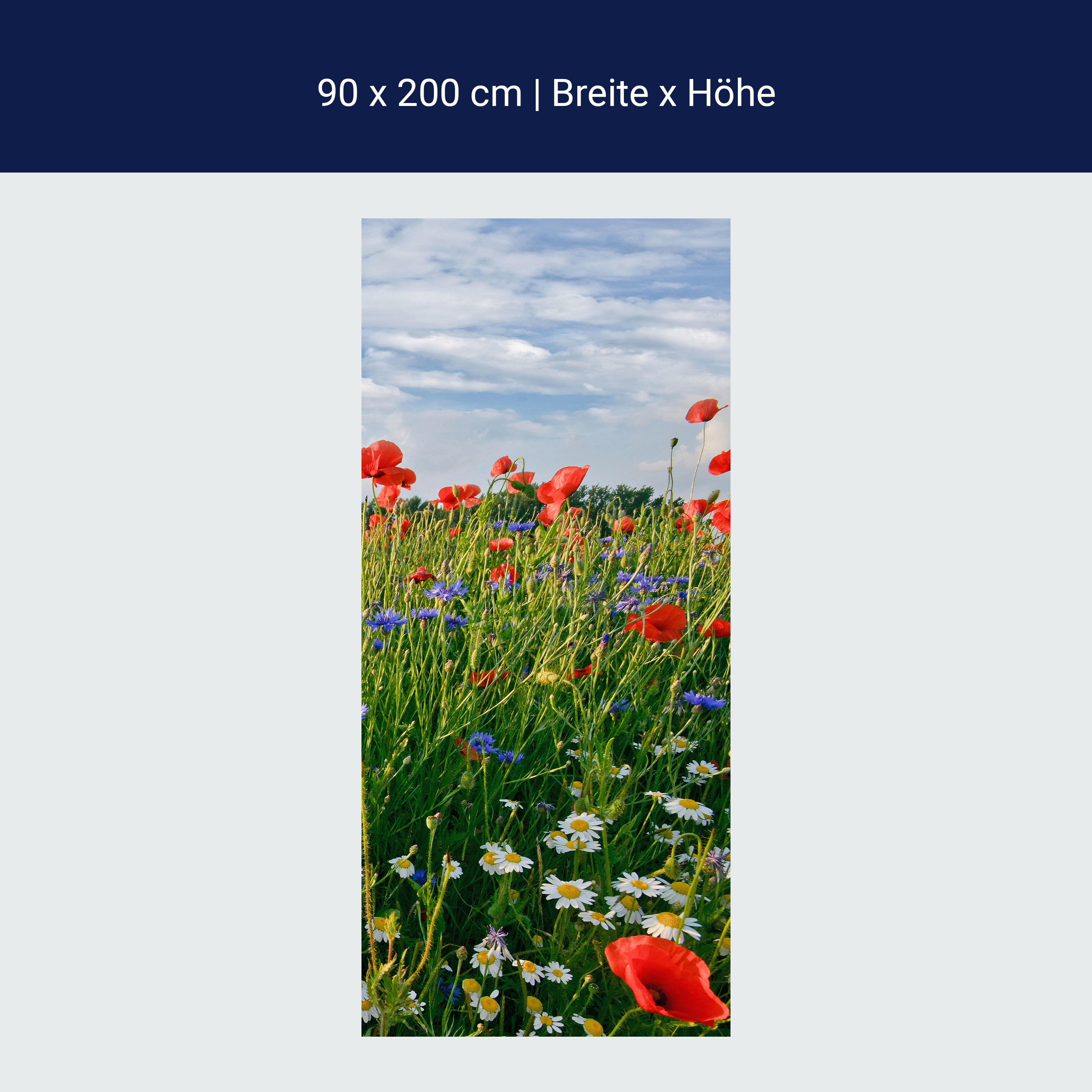 Türtapete Blumenwiese M0493 Türtapete Blumenwiese M0493