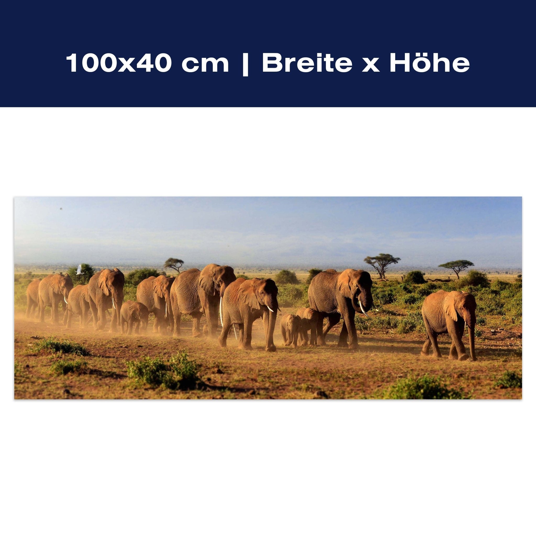 Leinwandbild Elefantenherde am Kilimandscharo M0522 Leinwandbild Elefantenherde am Kilimandscharo M0522