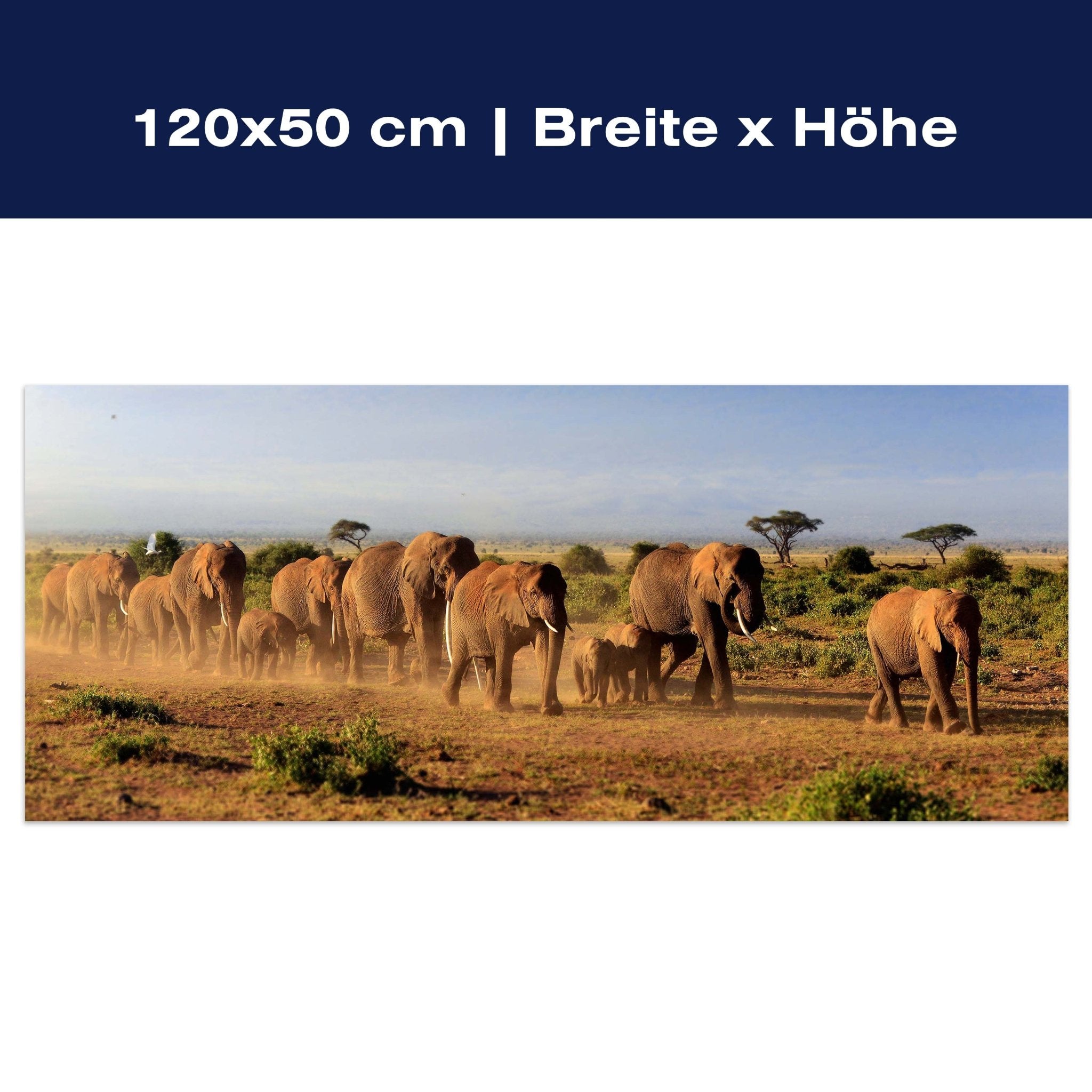 Leinwandbild Elefantenherde am Kilimandscharo M0522 Leinwandbild Elefantenherde am Kilimandscharo M0522