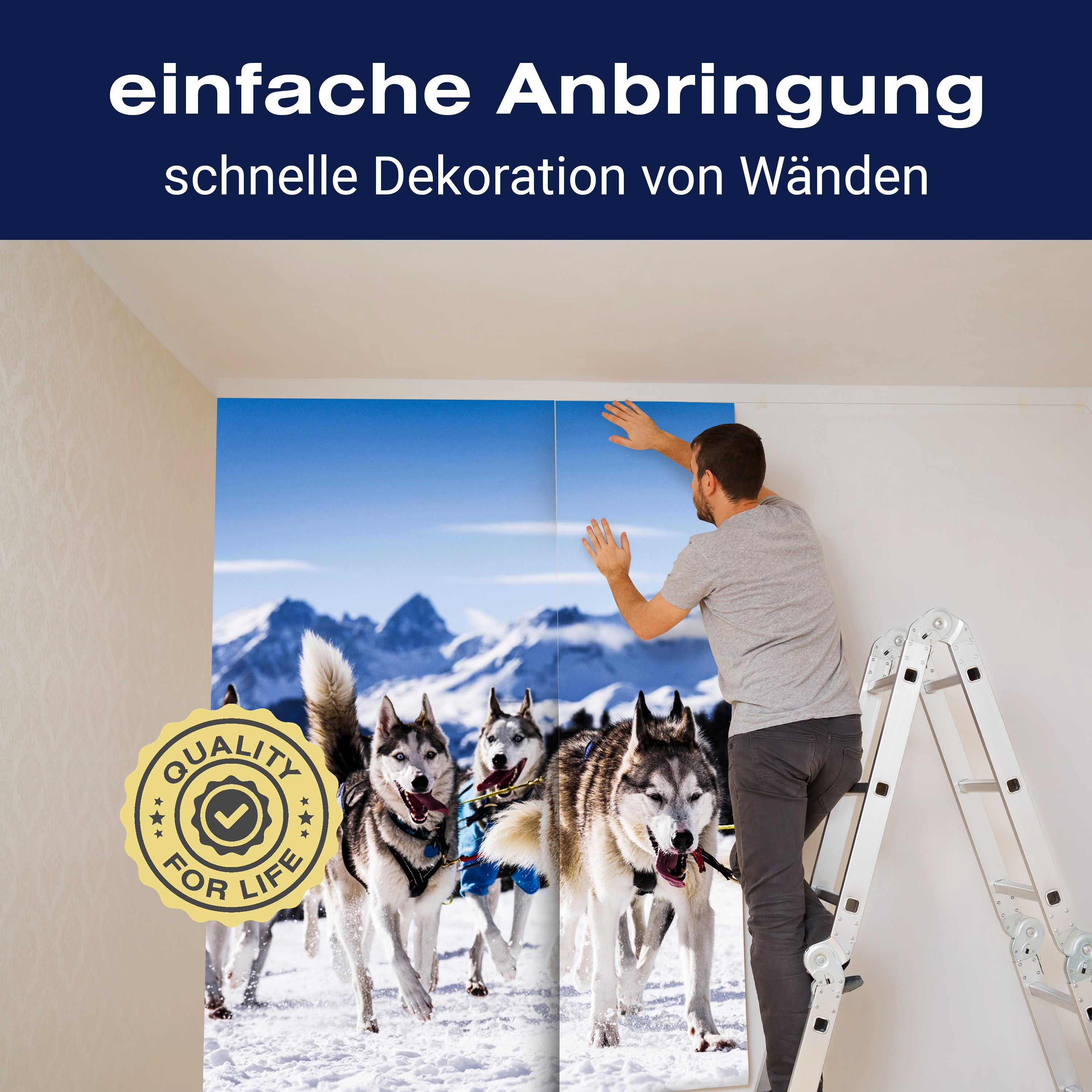 Fototapete Schlittenhunde in Speed Racing M0559 - Bild 3 Fototapete Schlittenhunde in Speed Racing M0559 - Bild 3