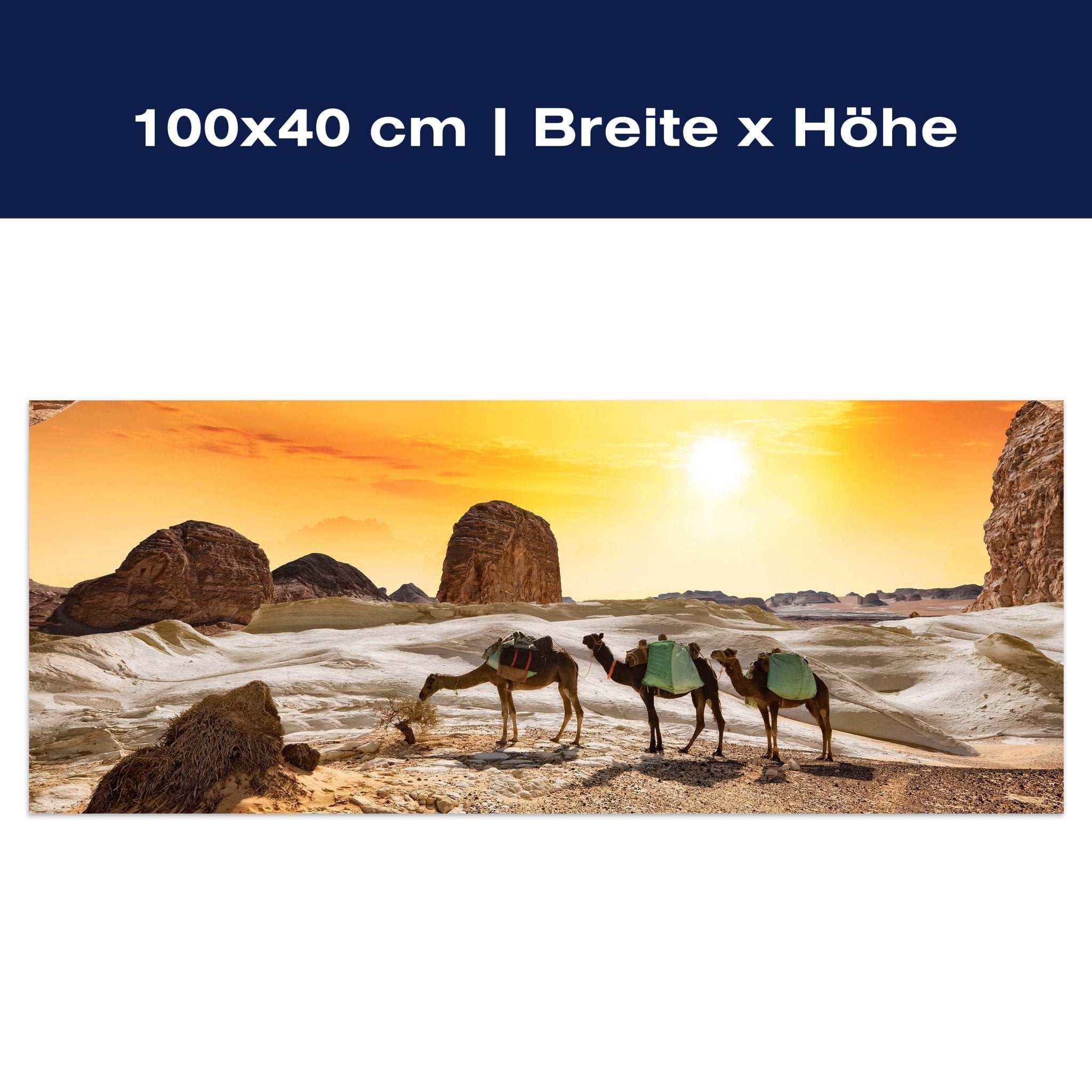 Leinwandbild Kamele in der Wüste M0562 Leinwandbild Kamele in der Wüste M0562