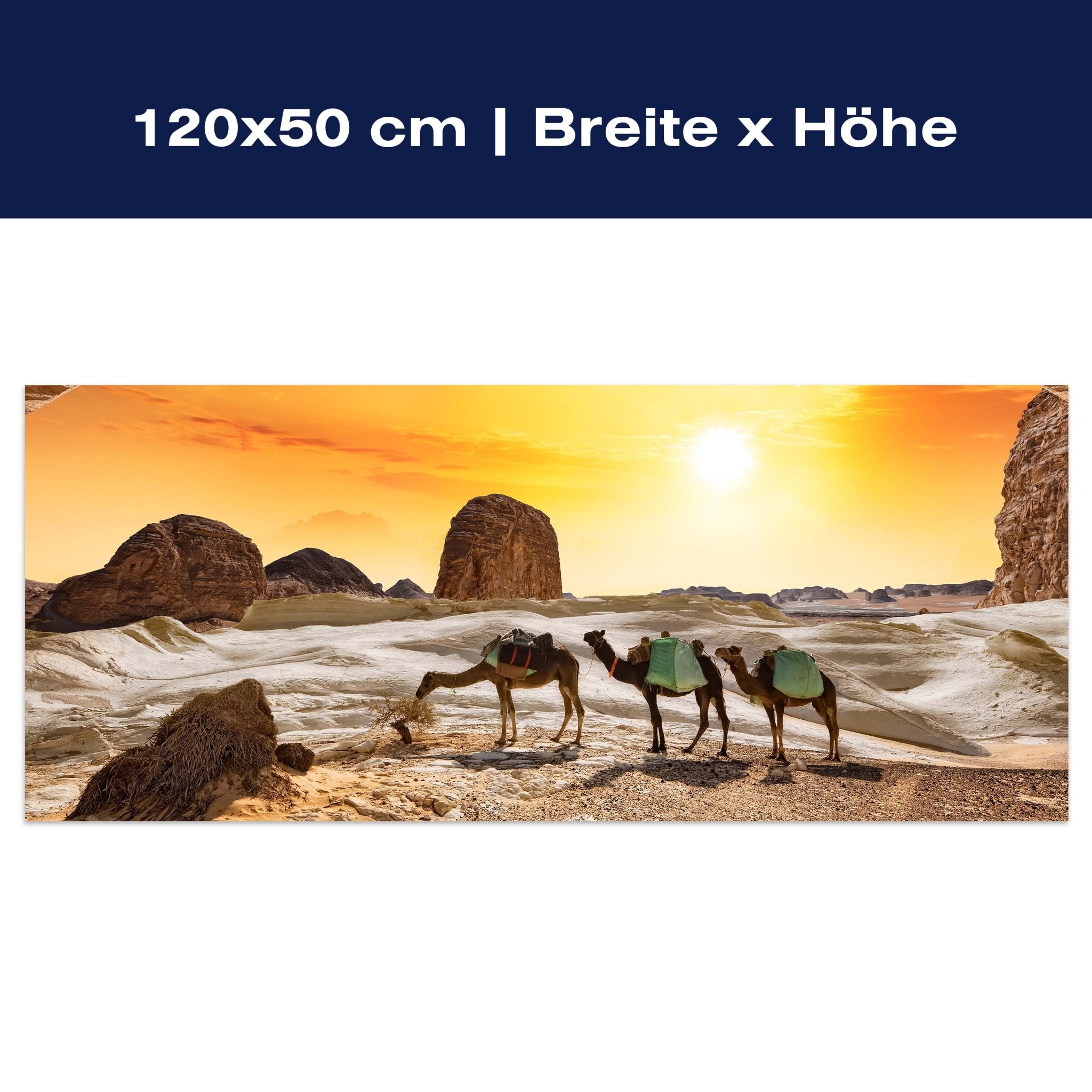 Leinwandbild Kamele in der Wüste M0562 Leinwandbild Kamele in der Wüste M0562