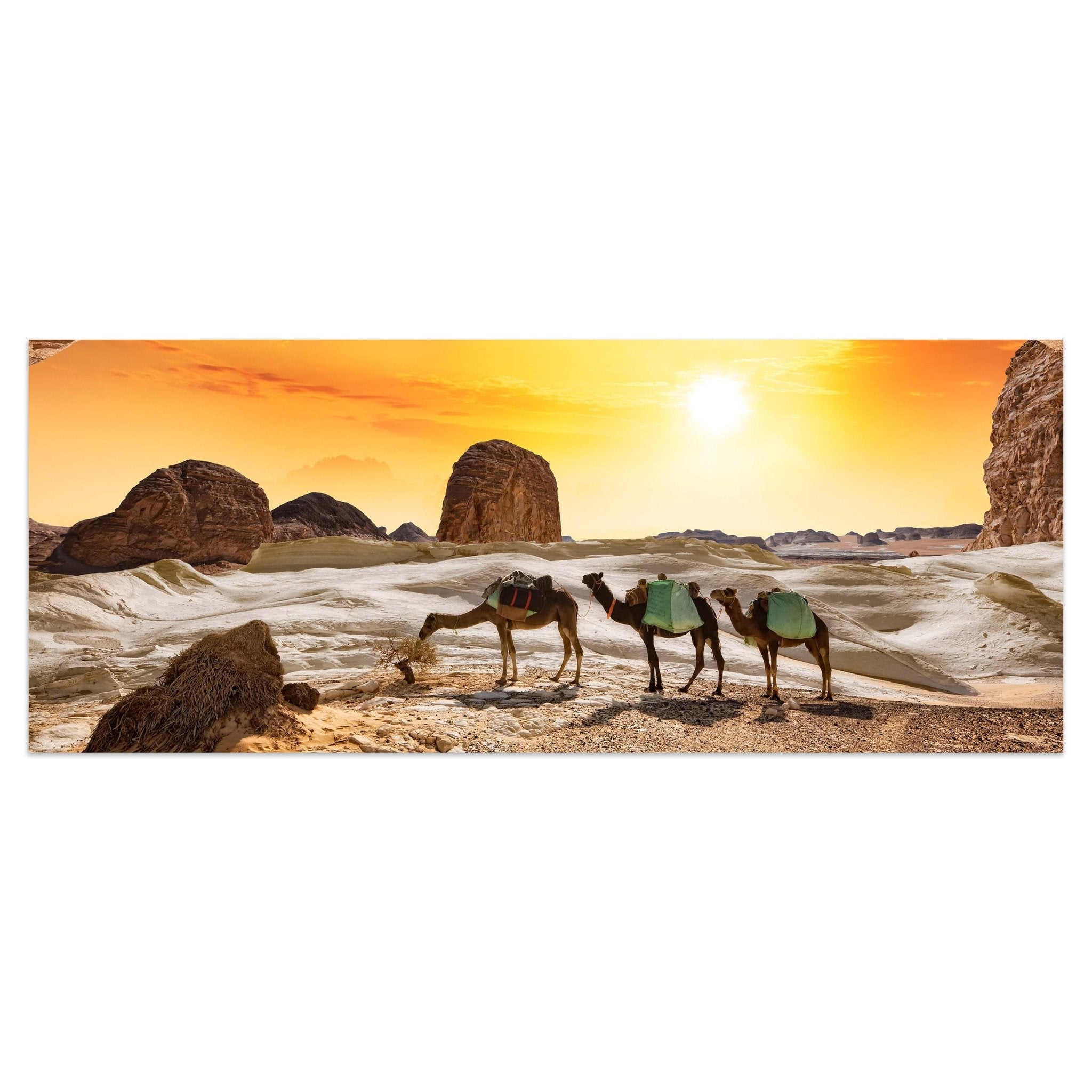 Leinwandbild Kamele in der Wüste M0562 kaufen - Bild 1 Leinwandbild Kamele in der Wüste M0562 kaufen - Bild 1