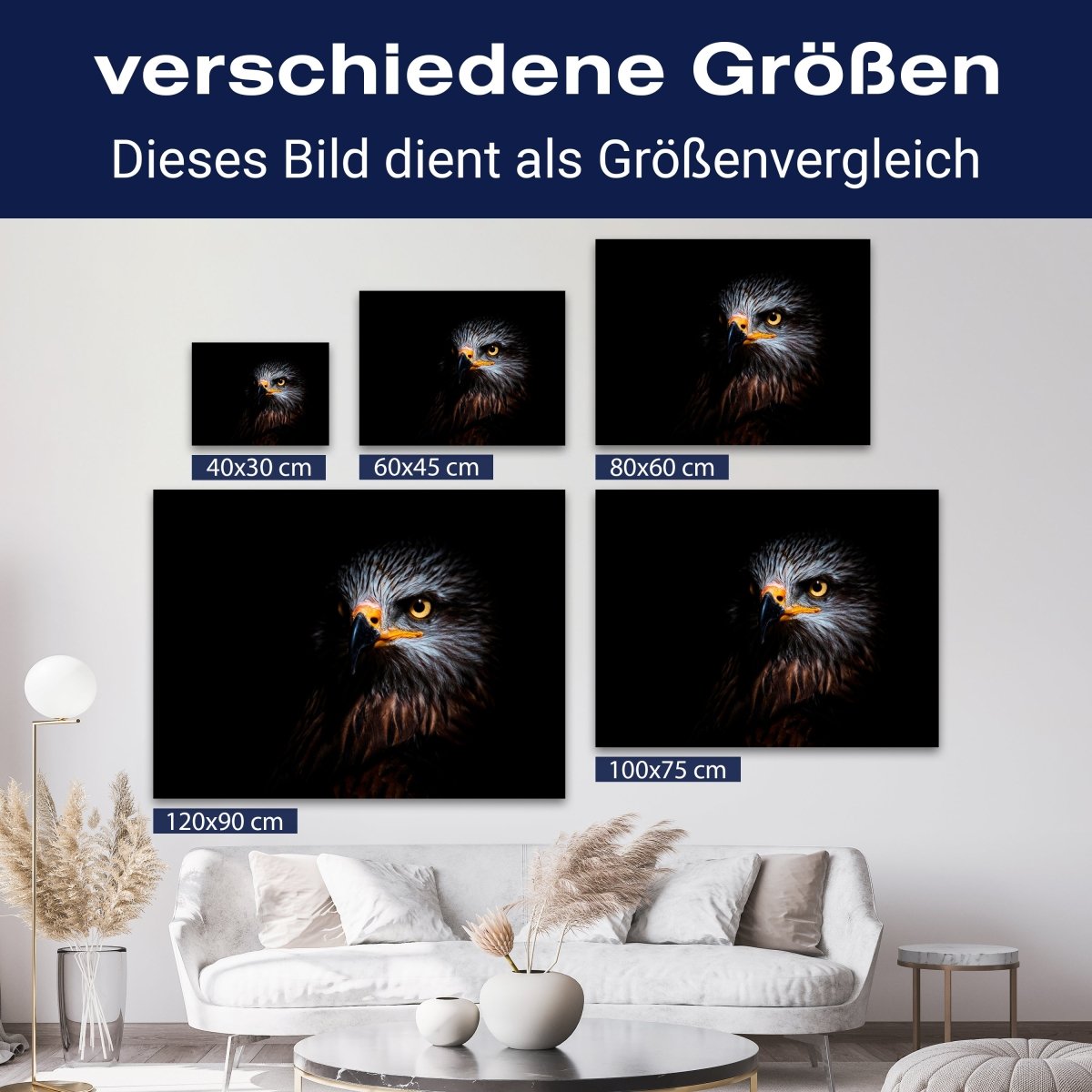 Leinwandbild Tiere, Adler M0569 kaufen - Bild 8