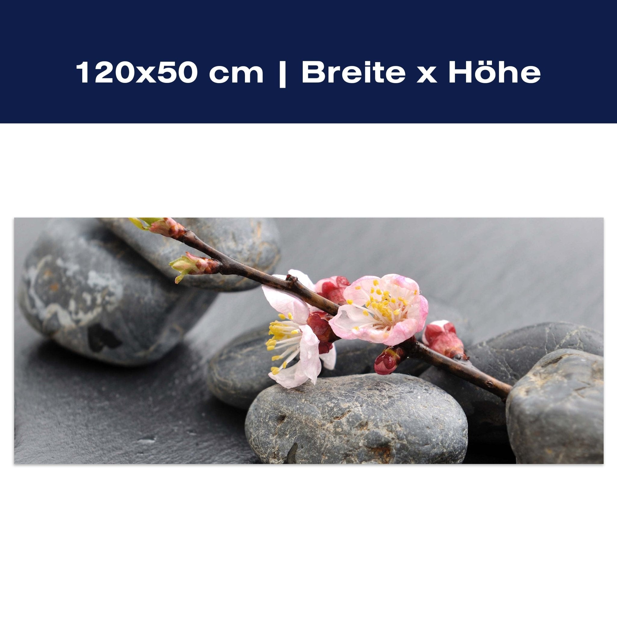 Leinwandbild Blumenast und Steine M0571 Leinwandbild Blumenast und Steine M0571