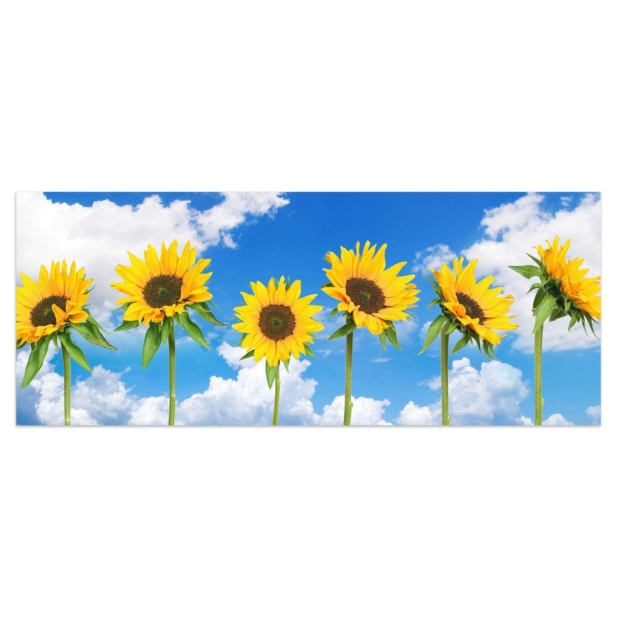 Leinwandbild Sonnenblumen M0705 kaufen - Bild 1