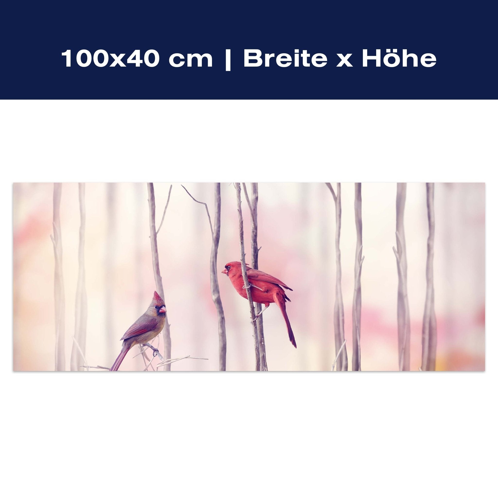 Leinwandbild Kardinalvögel M0718 Leinwandbild Kardinalvögel M0718