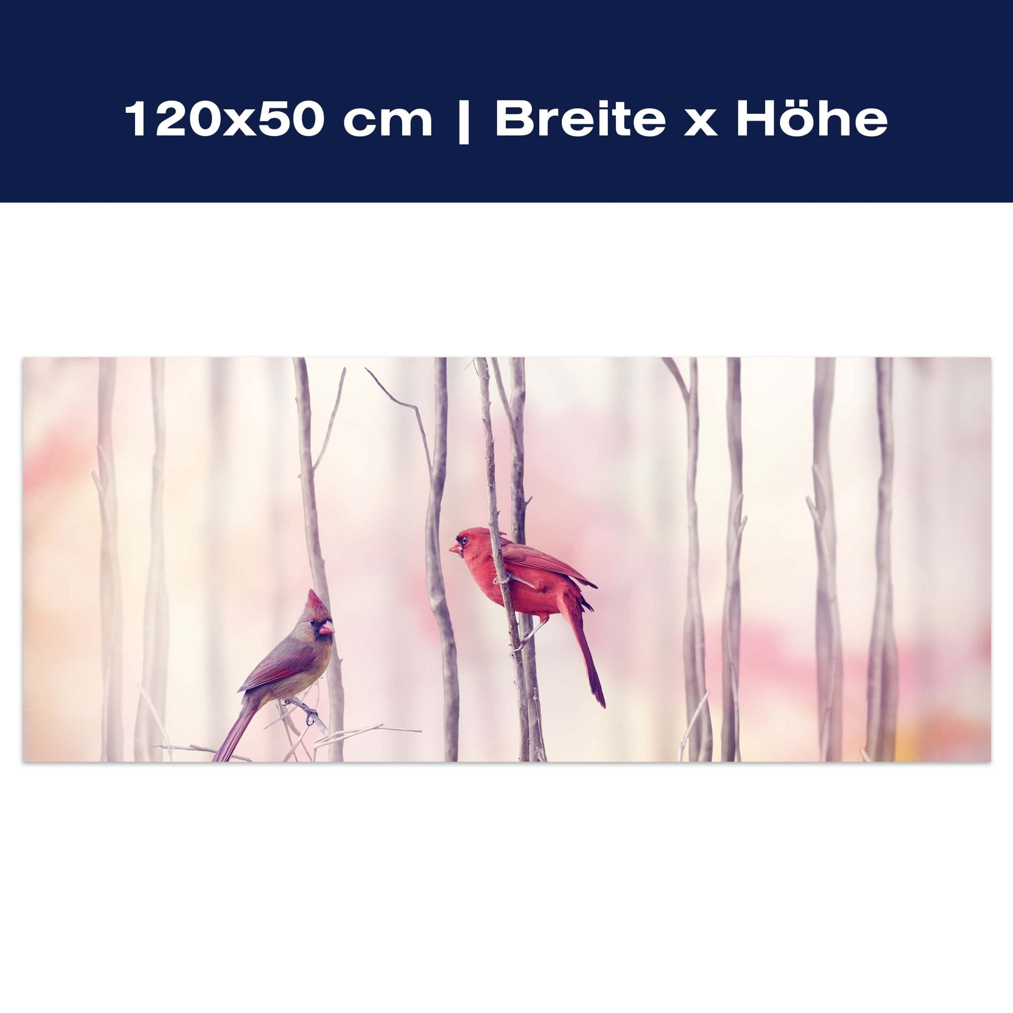 Leinwandbild Kardinalvögel M0718 Leinwandbild Kardinalvögel M0718
