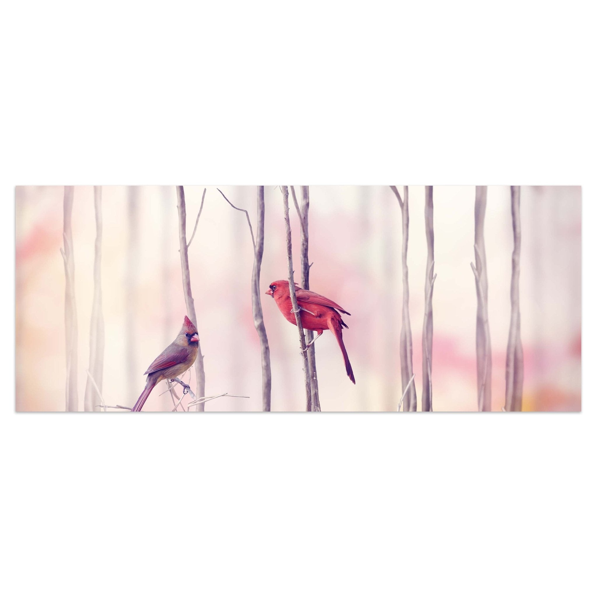 Leinwandbild Kardinalvögel M0718 kaufen - Bild 1