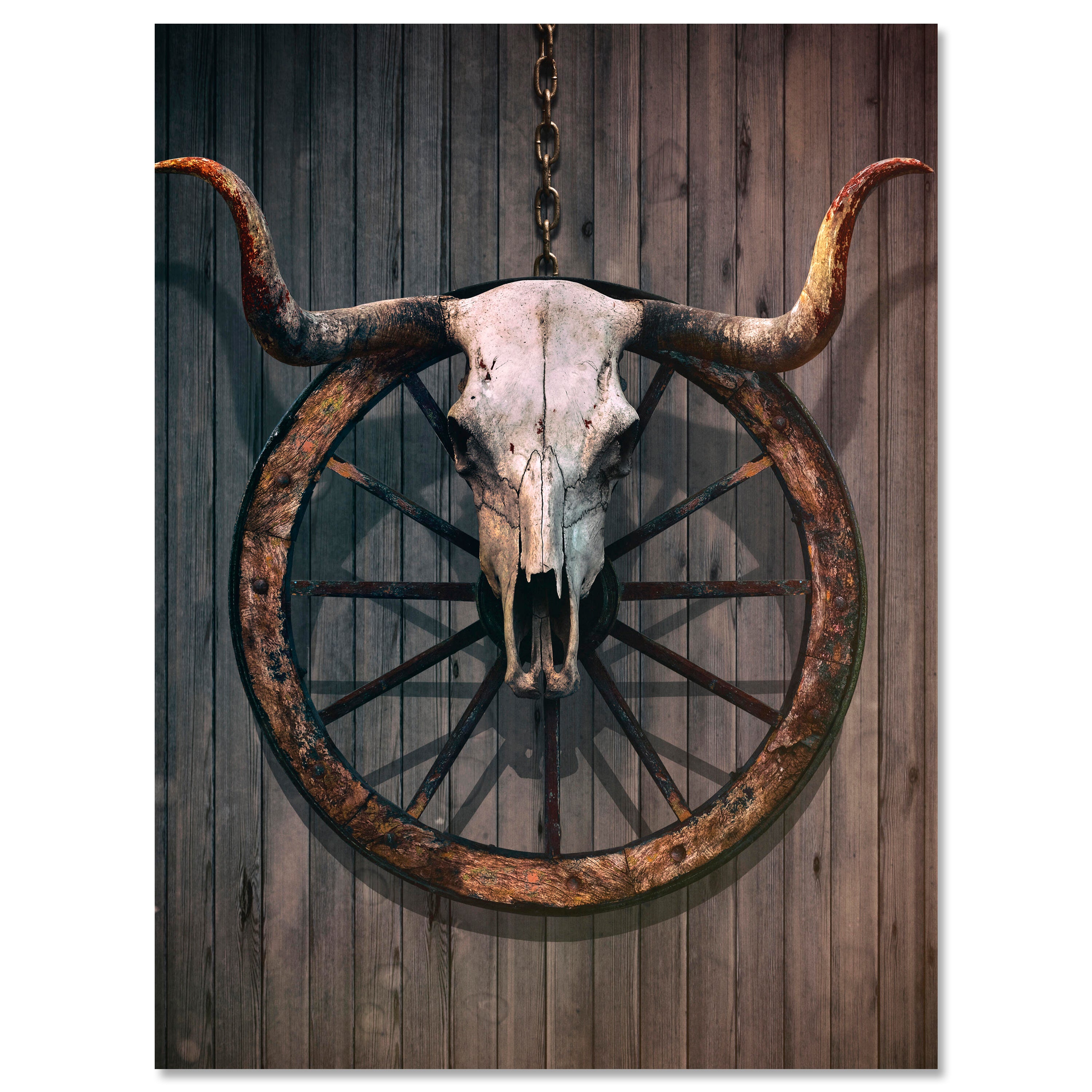 Leinwandbild Vintage, Stier Totenkopf, Hochformat M0756 kaufen - Bild 1 Leinwandbild Vintage, Stier Totenkopf, Hochformat M0756 kaufen - Bild 1