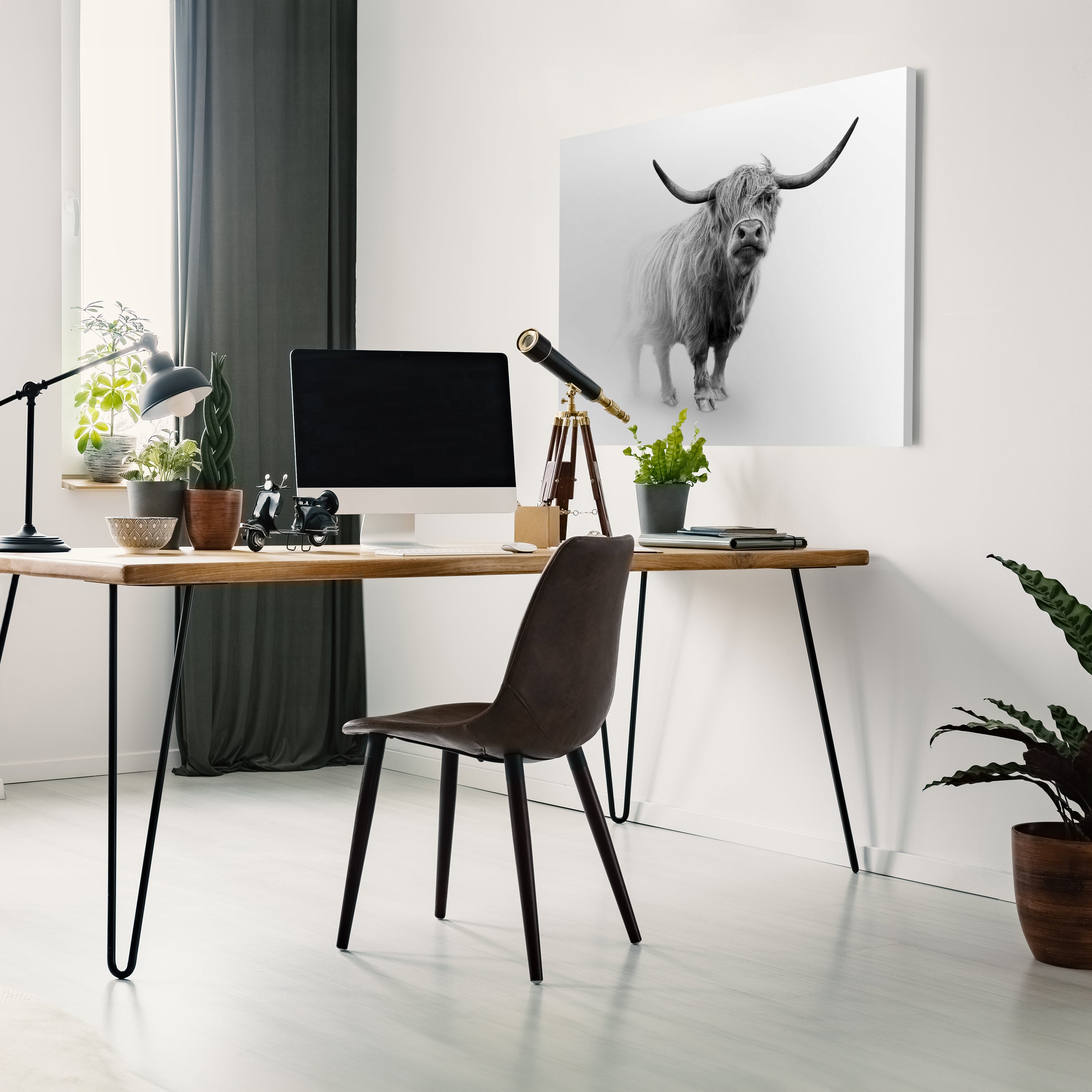 Leinwandbild Hochlandrind, Bulle, Querformat M0772 kaufen - Bild 3 Leinwandbild Hochlandrind, Bulle, Querformat M0772 kaufen - Bild 3