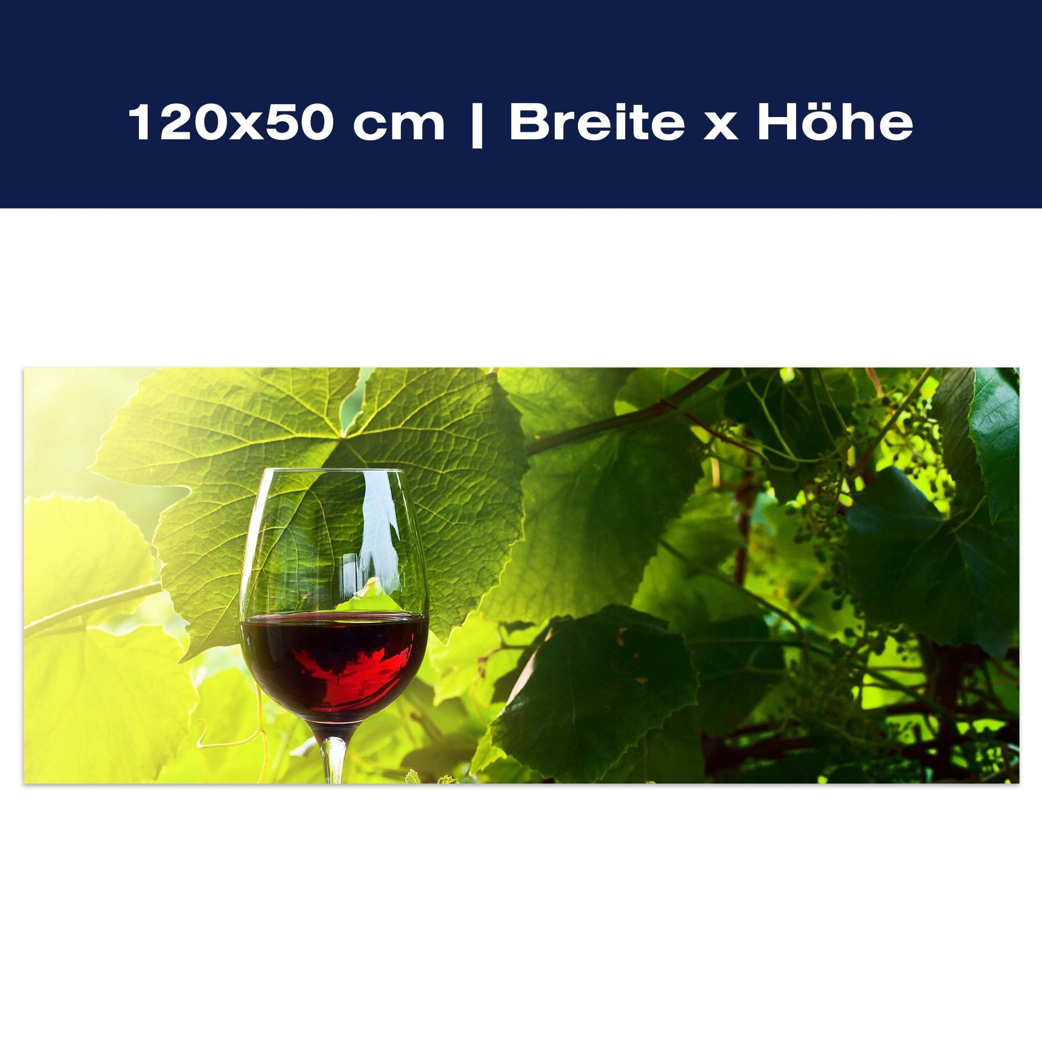 Leinwandbild Glas mit Rotwein im Weinberg M0830