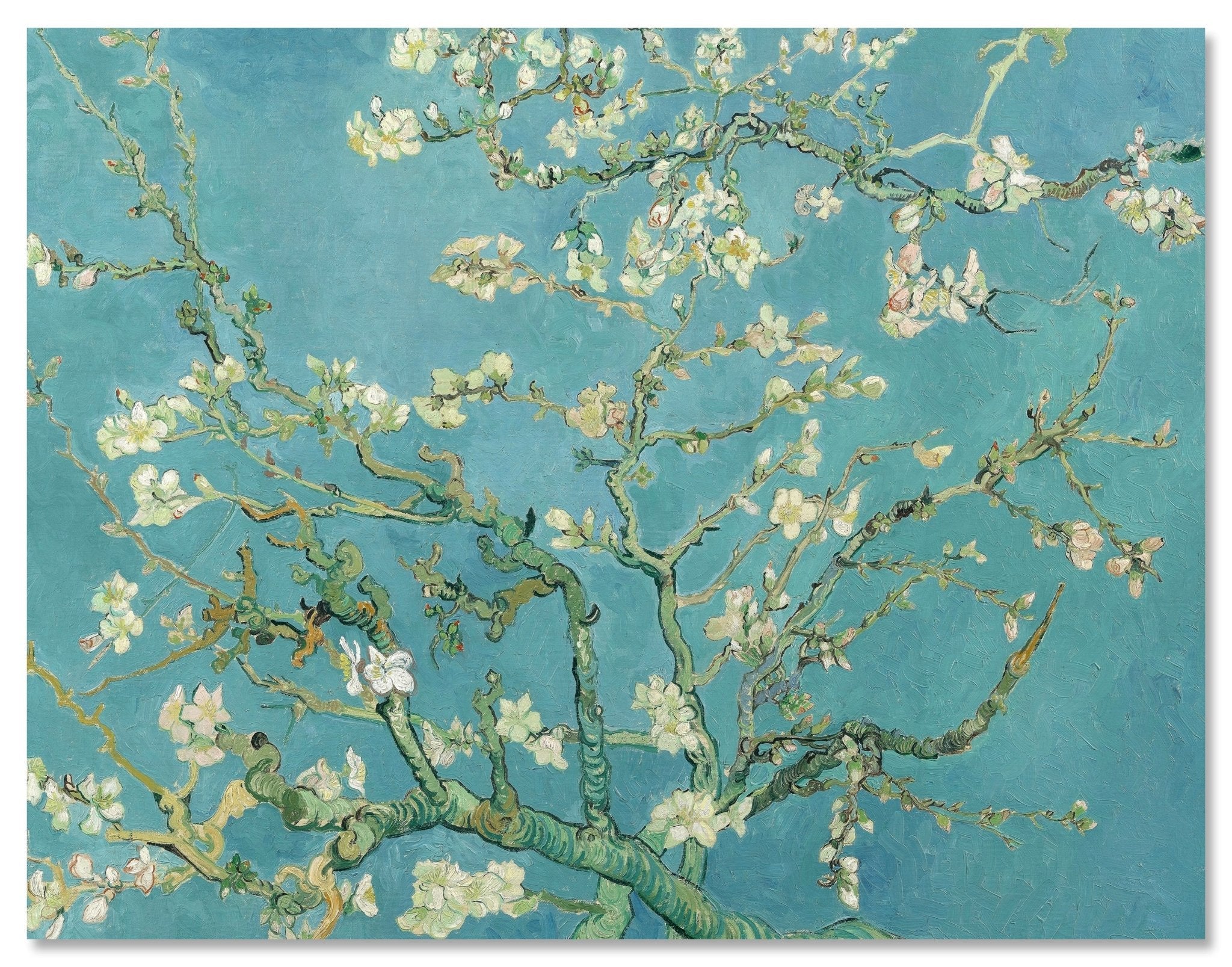 Leinwandbild Mandelblüte, Vincent van Gogh M0878 Leinwandbild Mandelblüte, Vincent van Gogh M0878