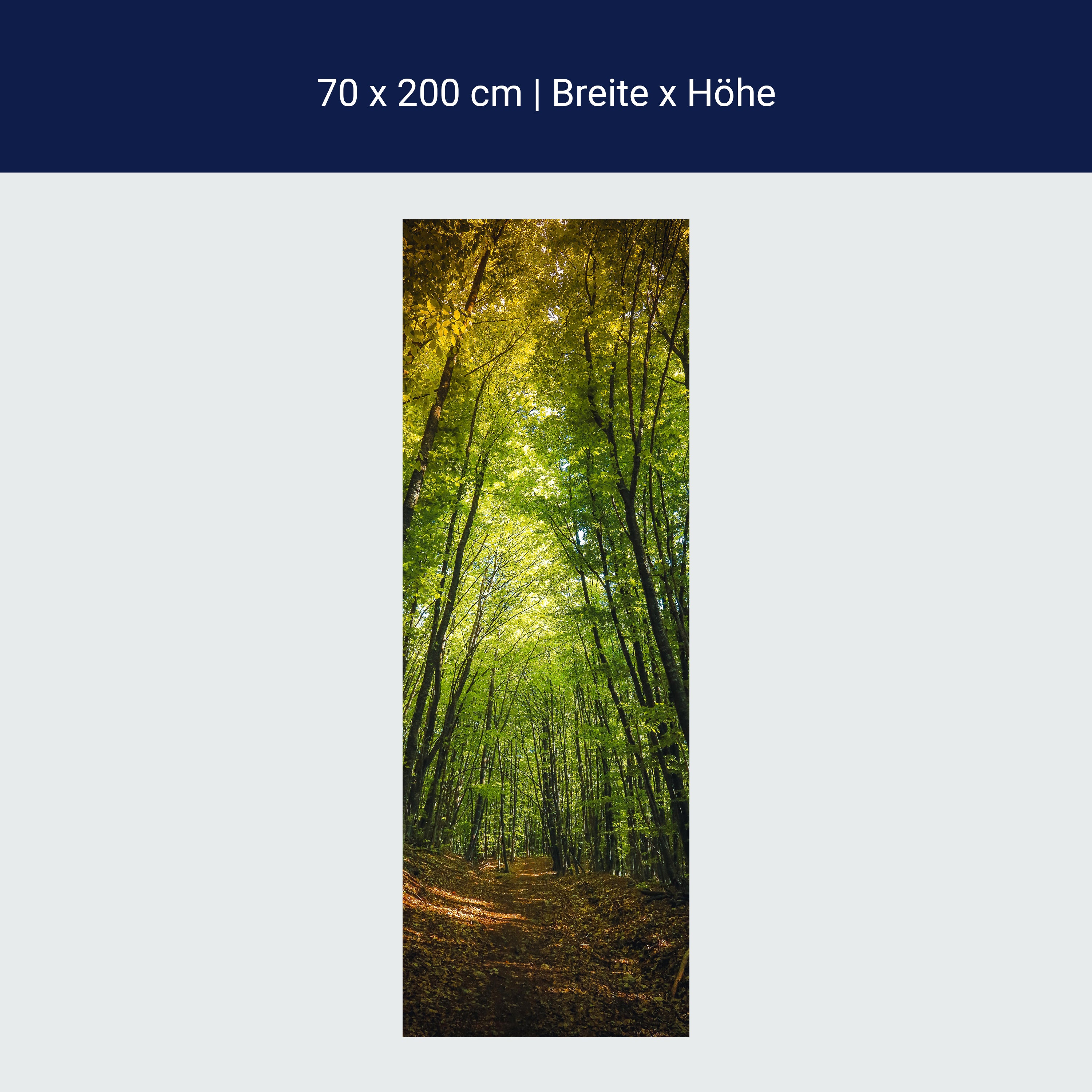 Türtapete Dunkler Weg im Wald M0923 Türtapete Dunkler Weg im Wald M0923