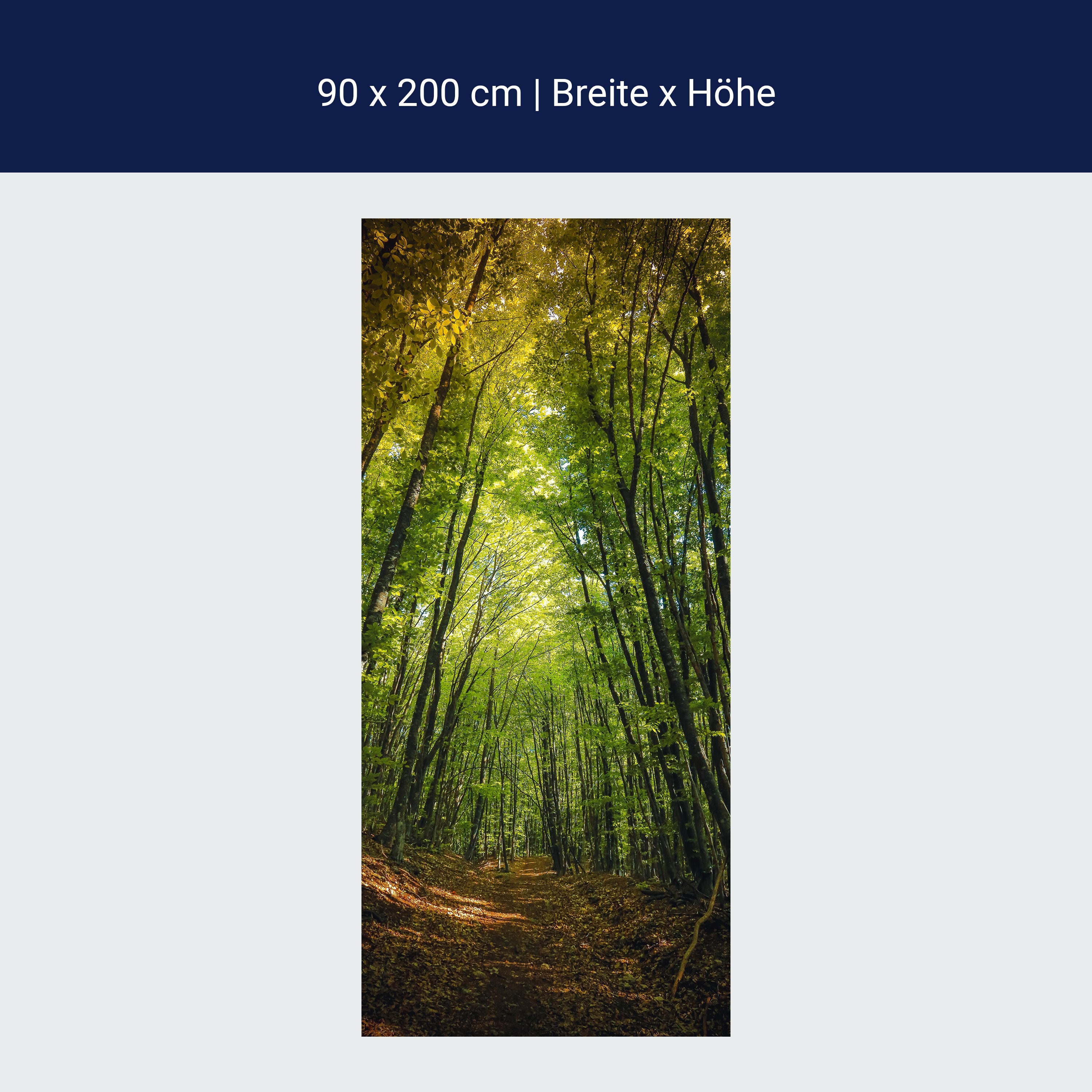 Türtapete Dunkler Weg im Wald M0923 Türtapete Dunkler Weg im Wald M0923