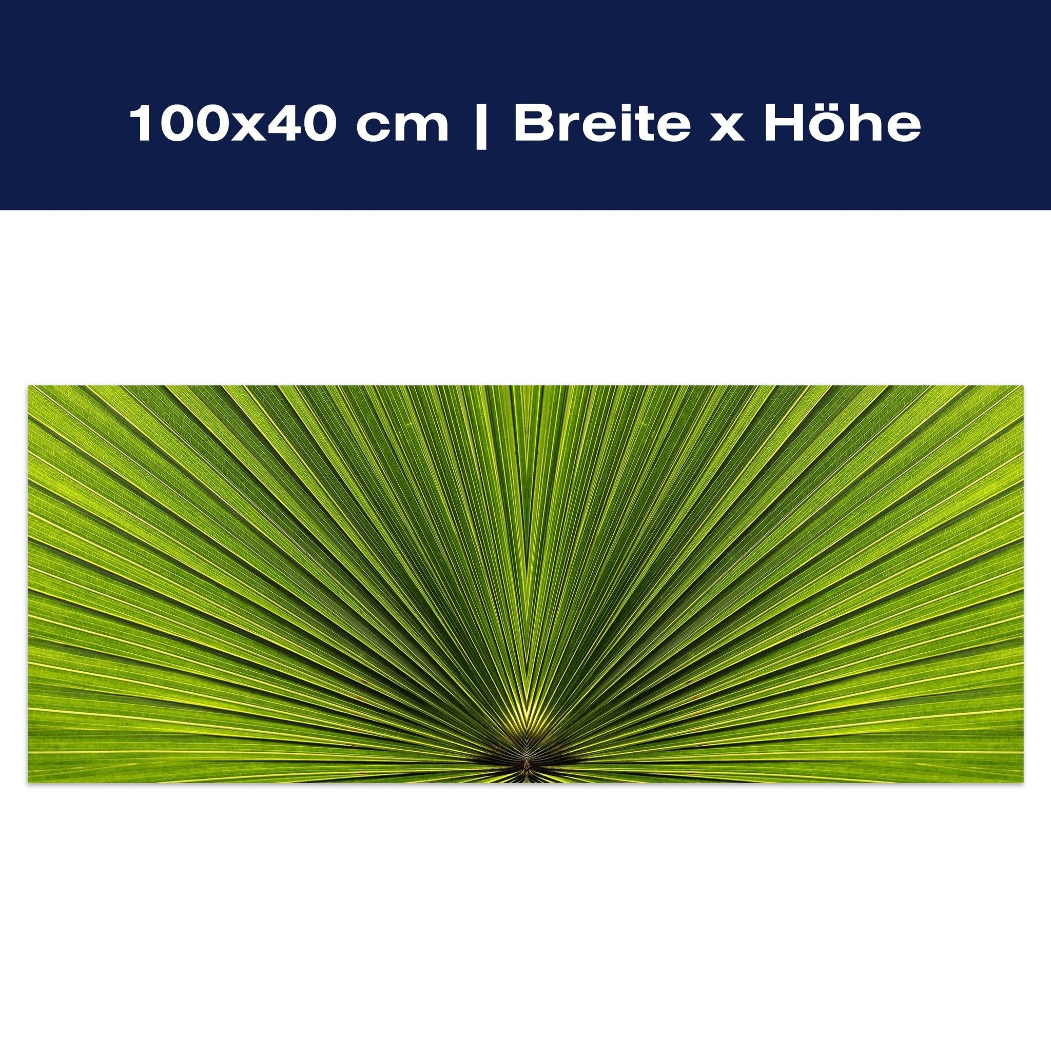 Leinwandbild Palmblatt Nahaufnahme M1003