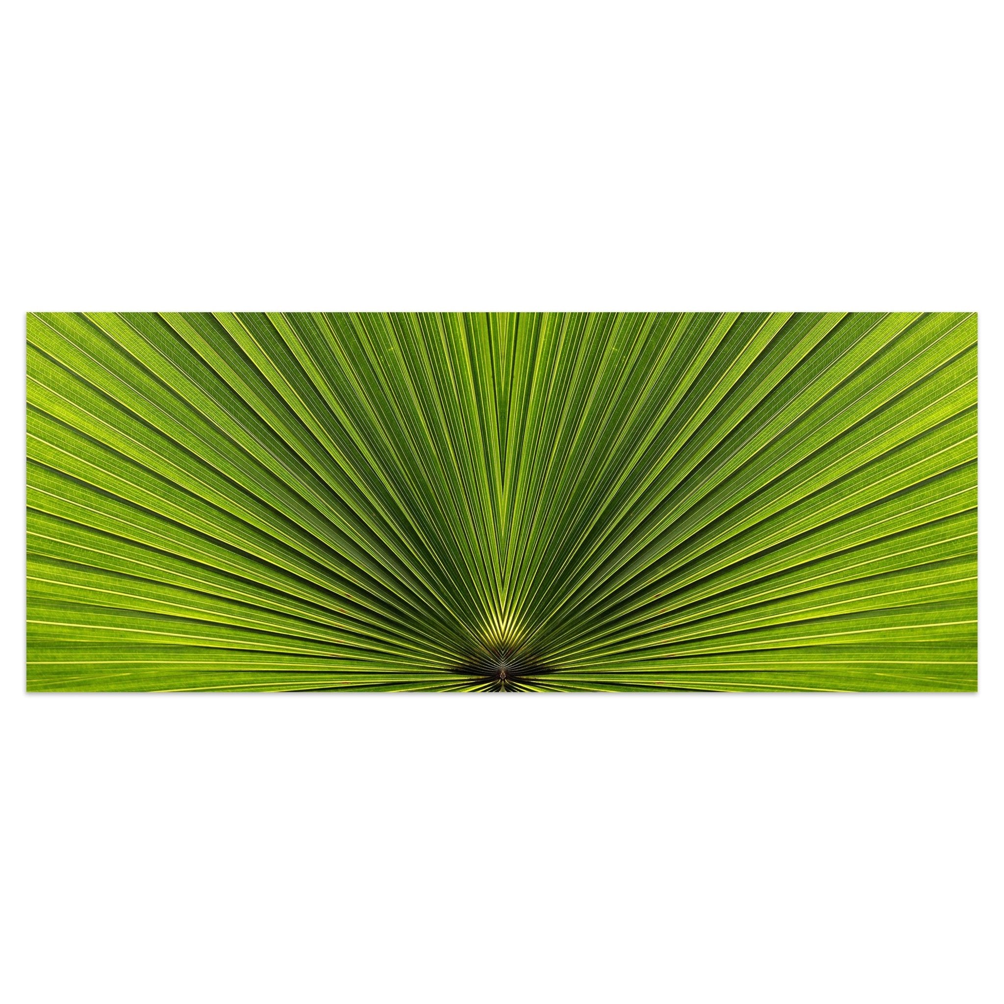 Leinwandbild Palmblatt Nahaufnahme M1003 kaufen - Bild 1