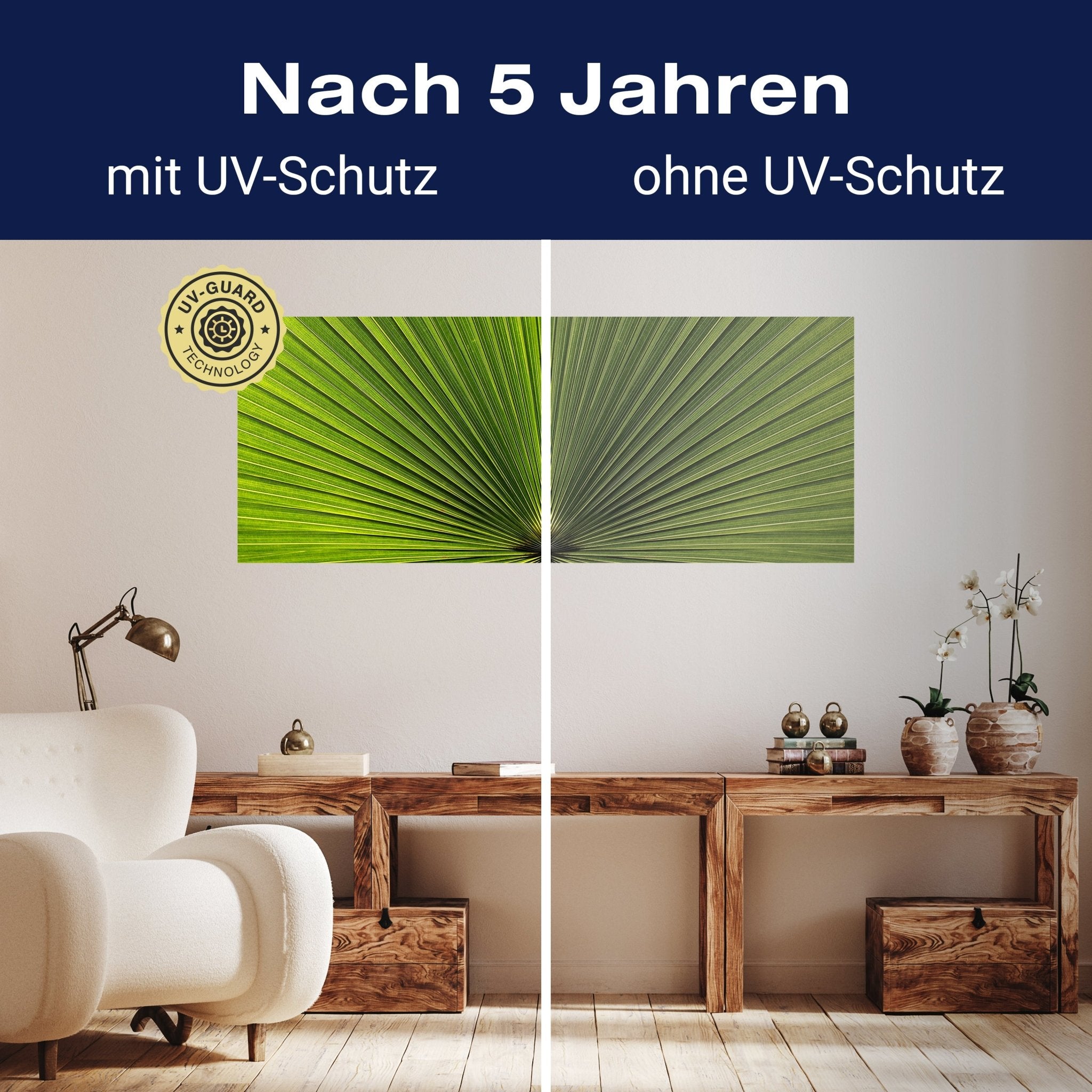 Leinwandbild Palmblatt Nahaufnahme M1003 kaufen - Bild 9 Leinwandbild Palmblatt Nahaufnahme M1003 kaufen - Bild 9