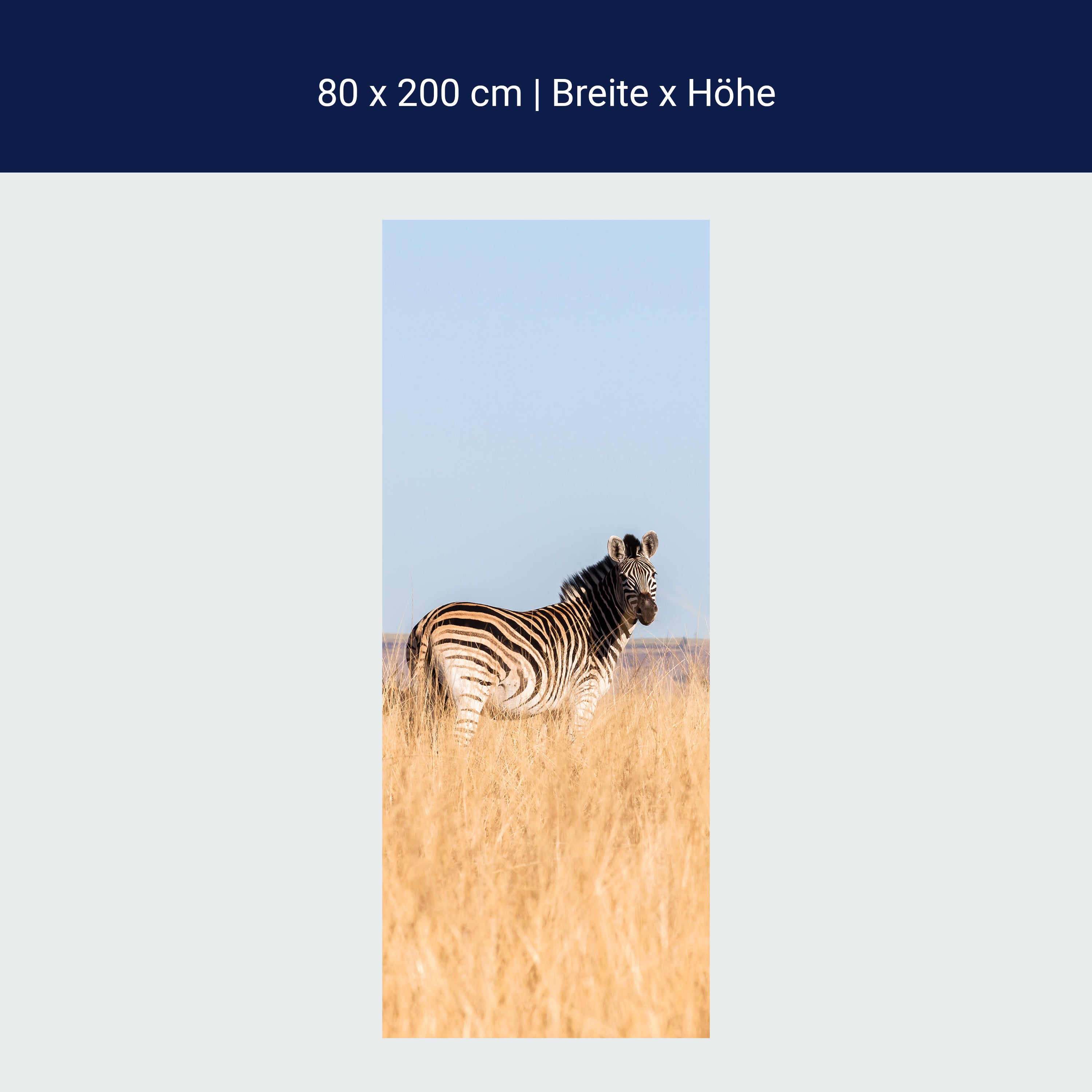 Türtapete Manada de cebras M1007 Türtapete Manada de cebras M1007