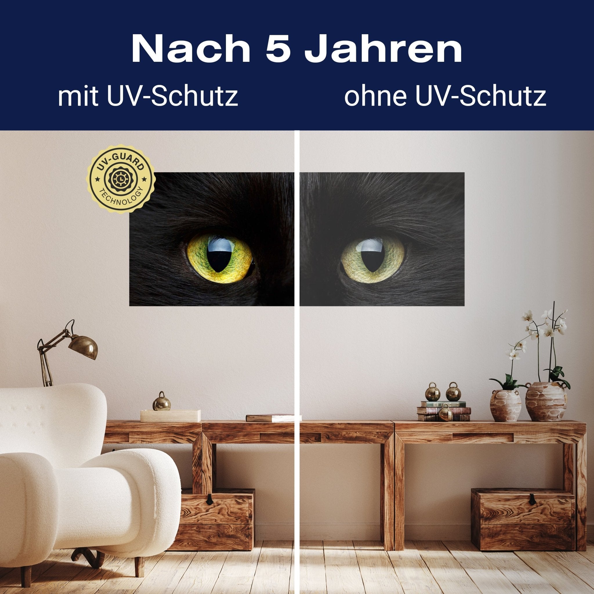 Leinwandbild Nahaufnahme der schwarzen Katze M1013 kaufen - Bild 9 Leinwandbild Nahaufnahme der schwarzen Katze M1013 kaufen - Bild 9