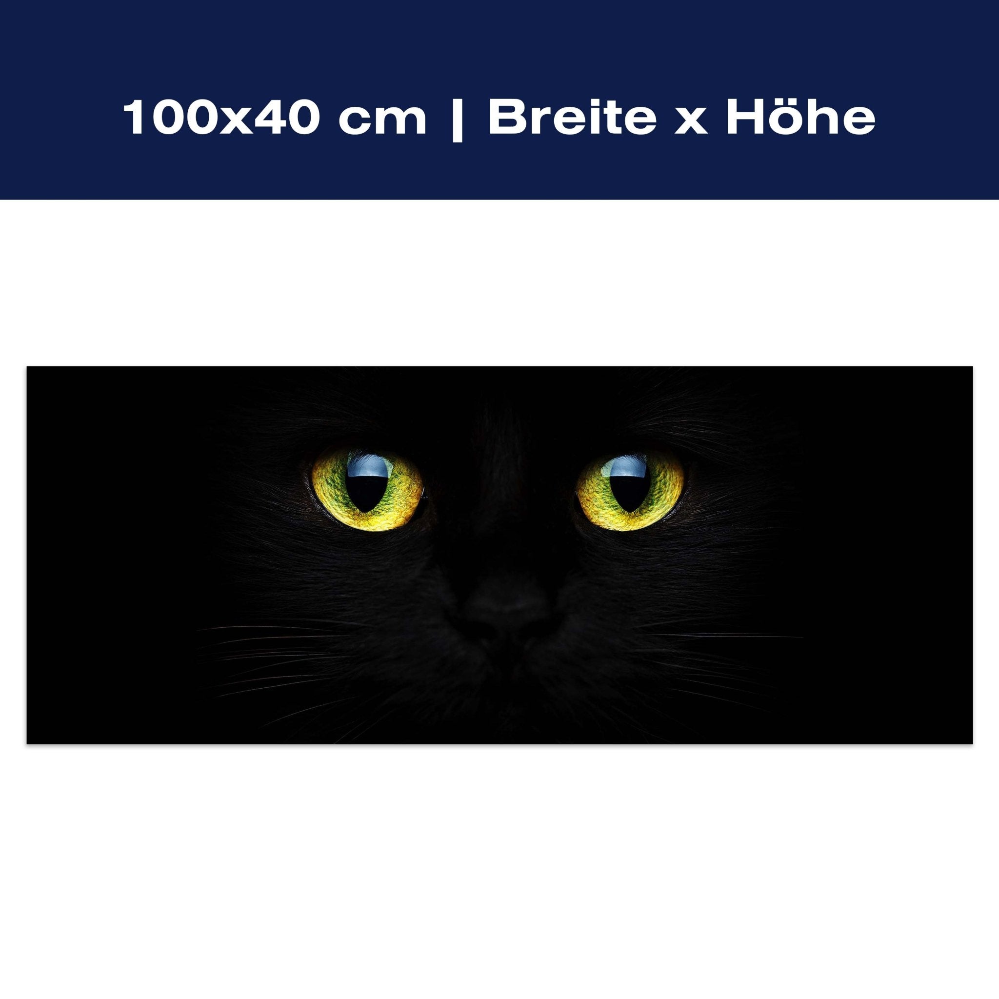 Leinwandbild Mysteriöse Katzenaugen M1015 Leinwandbild Mysteriöse Katzenaugen M1015