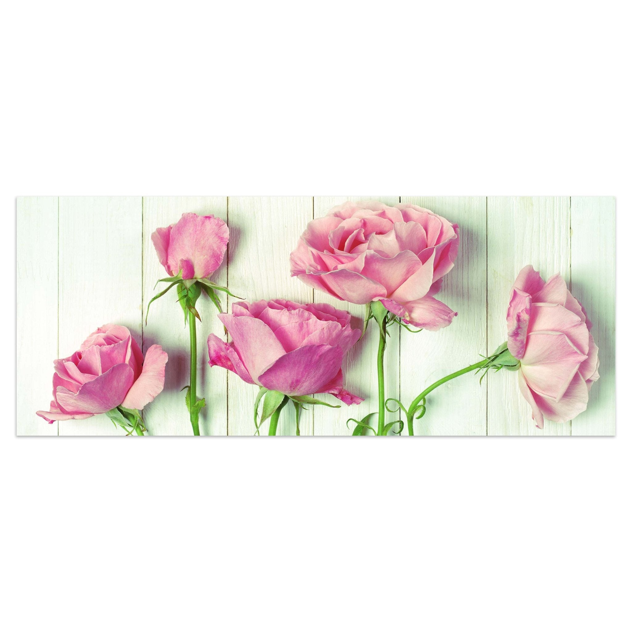 Leinwandbild Frische Gartenrosen M1021 kaufen - Bild 1 Leinwandbild Frische Gartenrosen M1021 kaufen - Bild 1