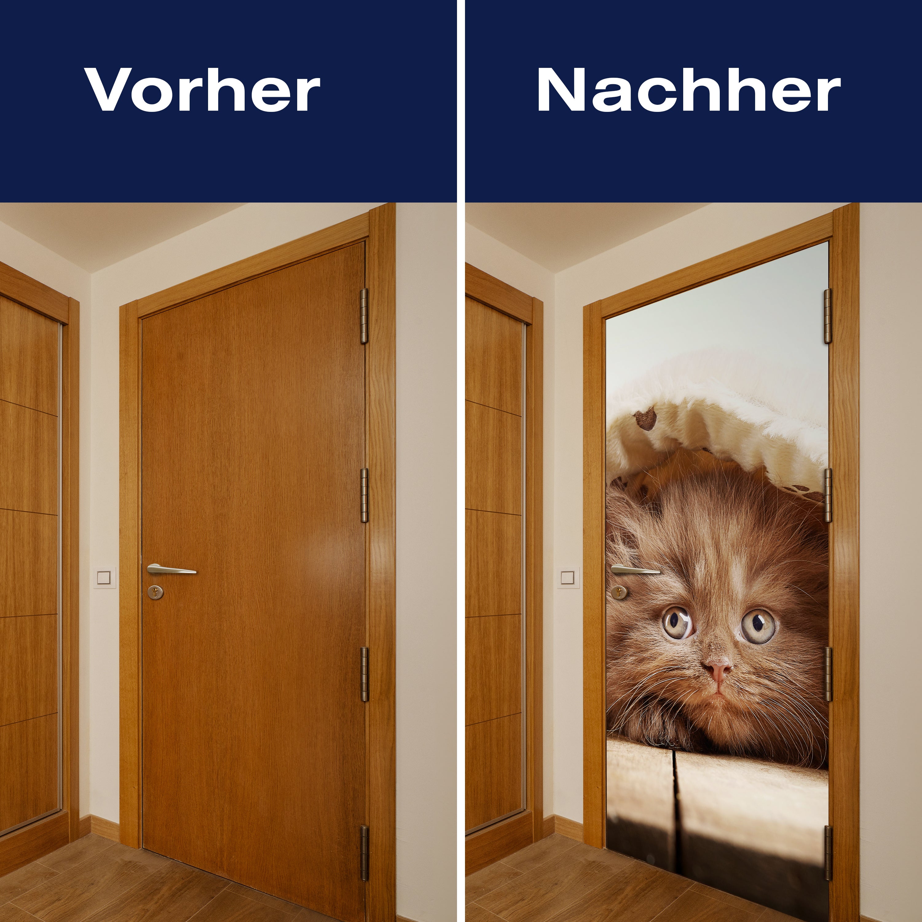 Türtapete Braunes britisches langhaariges Kätzchen M1023 - Bild 10 Türtapete Braunes britisches langhaariges Kätzchen M1023 - Bild 10