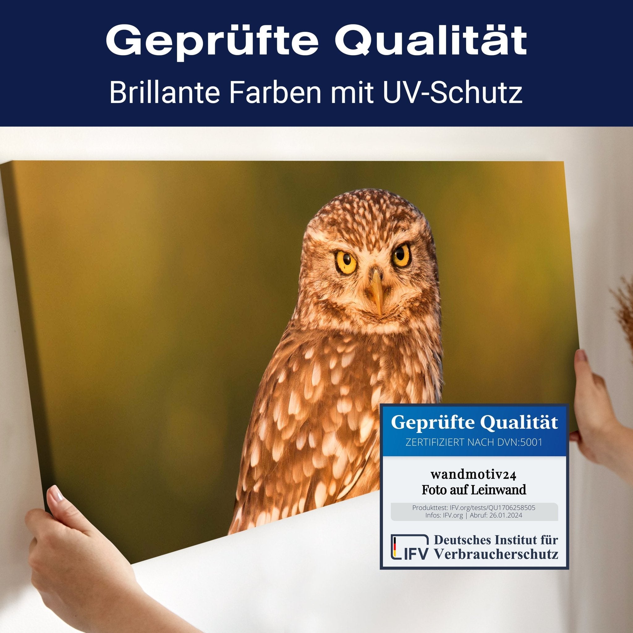 Leinwandbild Kleine Eule auf einem Baumstamm M1026 kaufen - Bild 4 Leinwandbild Kleine Eule auf einem Baumstamm M1026 kaufen - Bild 4