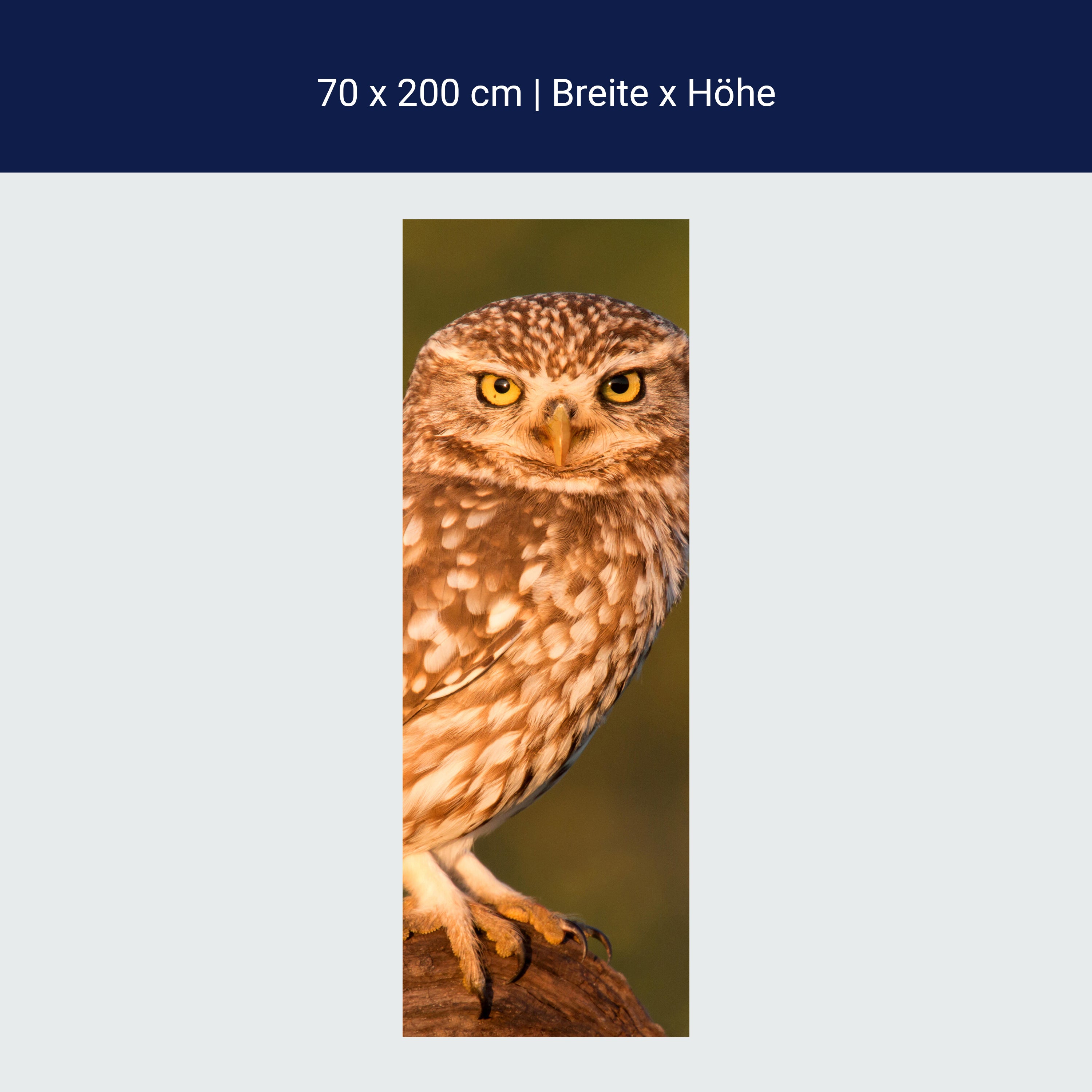 Türtapete Kleine Eule auf einem Baumstamm M1026 Türtapete Kleine Eule auf einem Baumstamm M1026