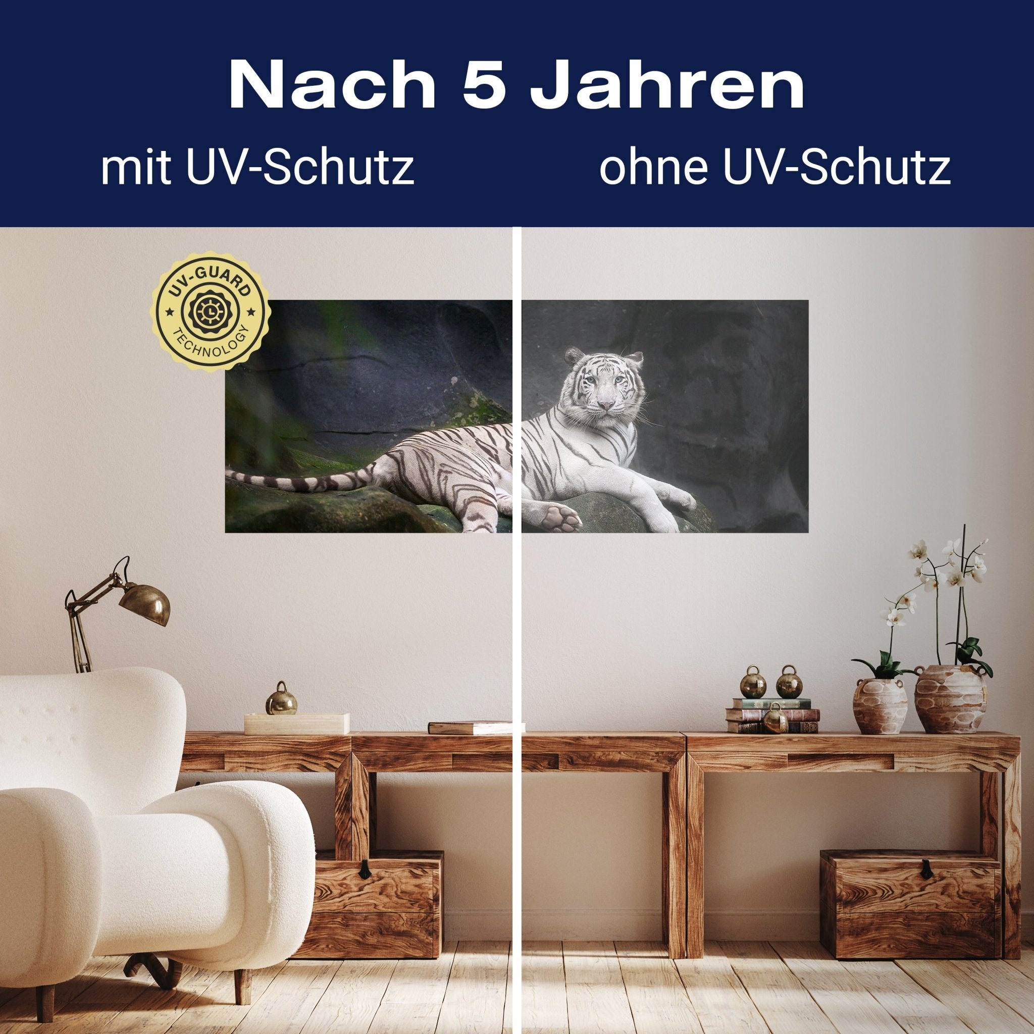 Leinwandbild Weißer Tiger sitzt in der Höhle M1027 kaufen - Bild 9 Leinwandbild Weißer Tiger sitzt in der Höhle M1027 kaufen - Bild 9