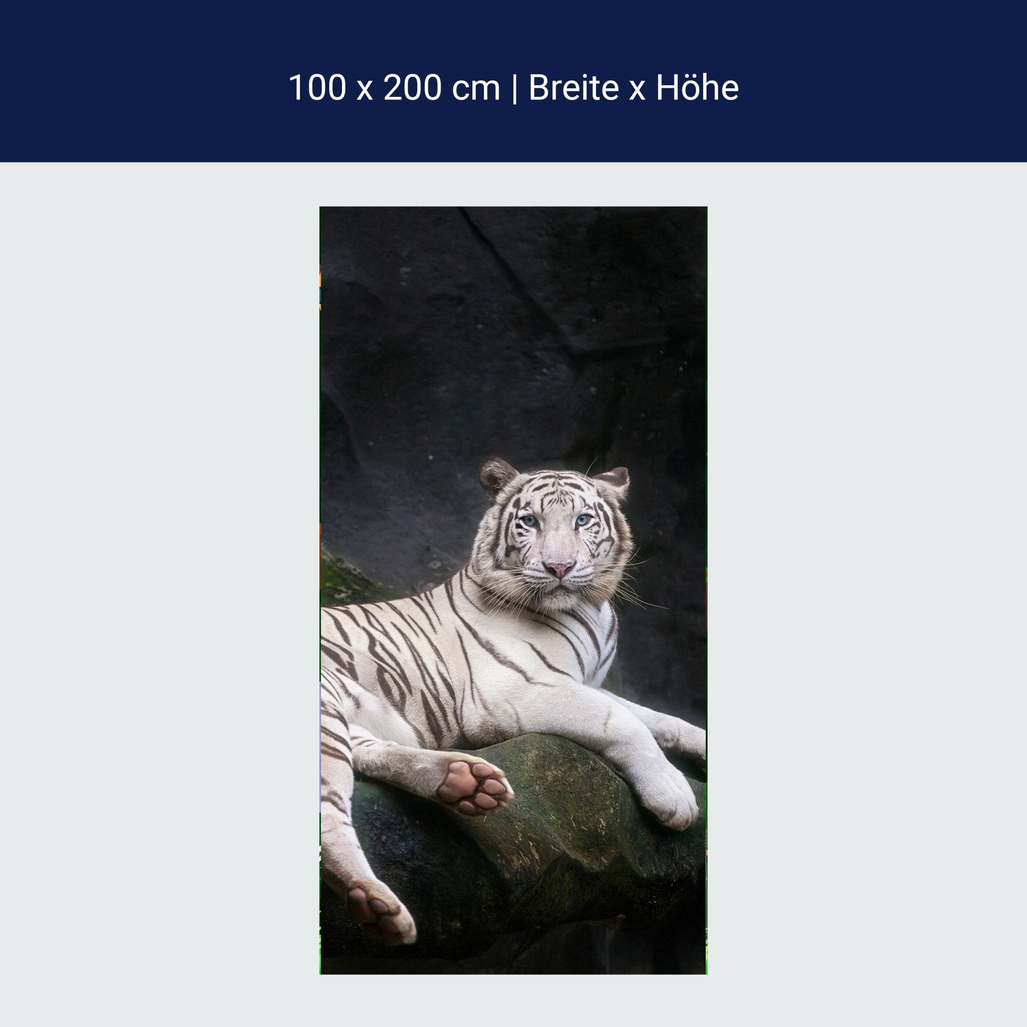 Türtapete Weißer Tiger sitzt in der Höhle M1027 Türtapete Weißer Tiger sitzt in der Höhle M1027