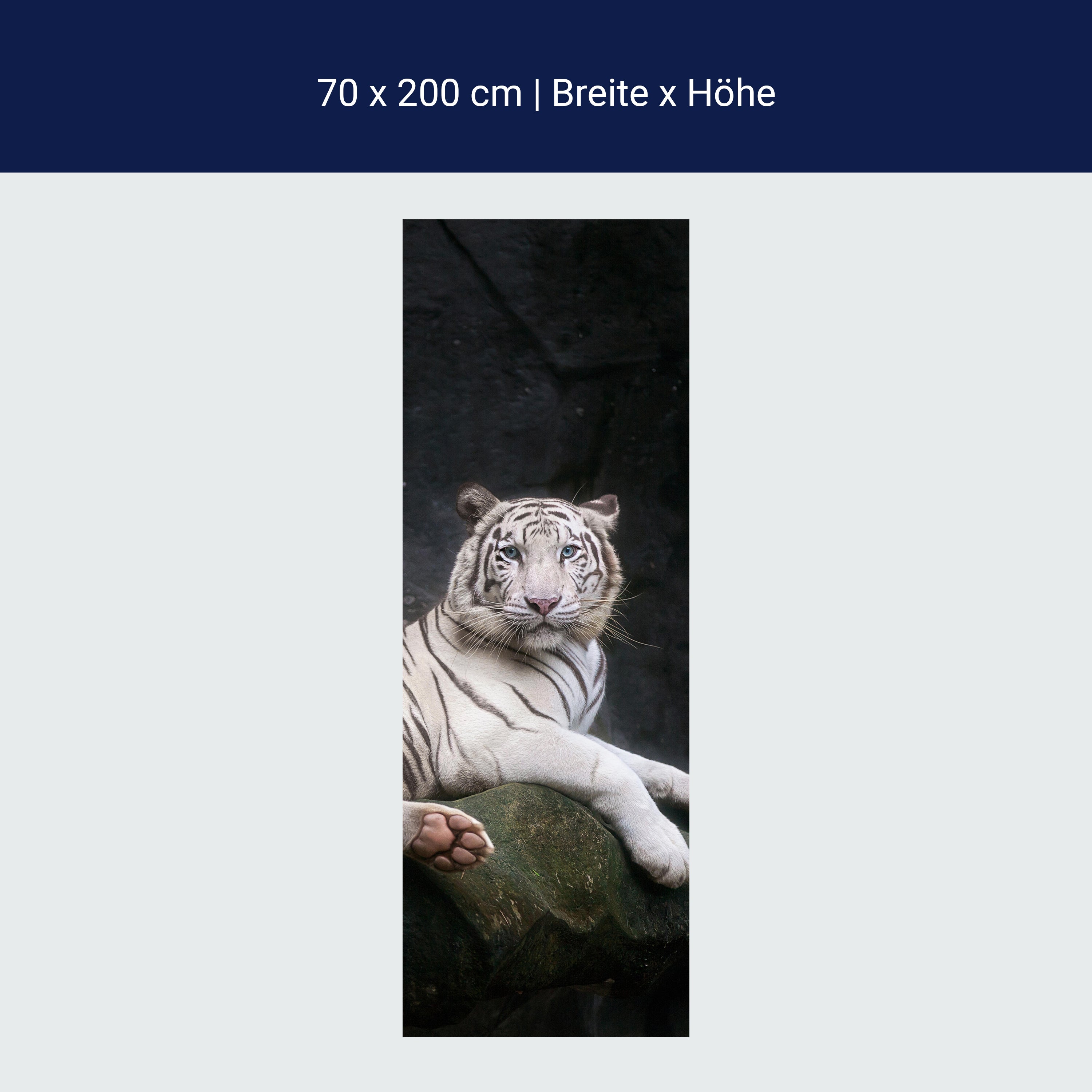 Türtapete Weißer Tiger sitzt in der Höhle M1027 Türtapete Weißer Tiger sitzt in der Höhle M1027