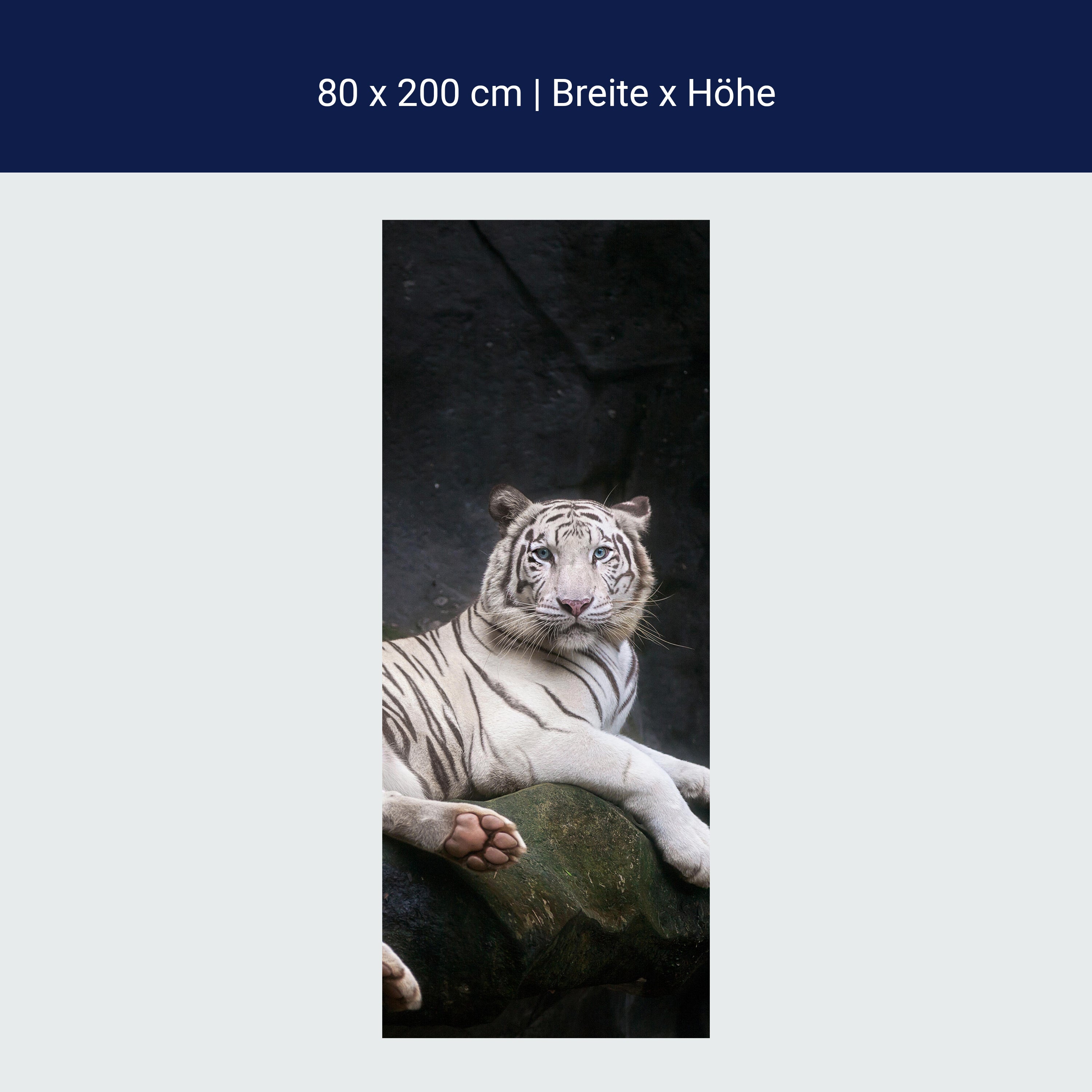 Türtapete Weißer Tiger sitzt in der Höhle M1027 Türtapete Weißer Tiger sitzt in der Höhle M1027