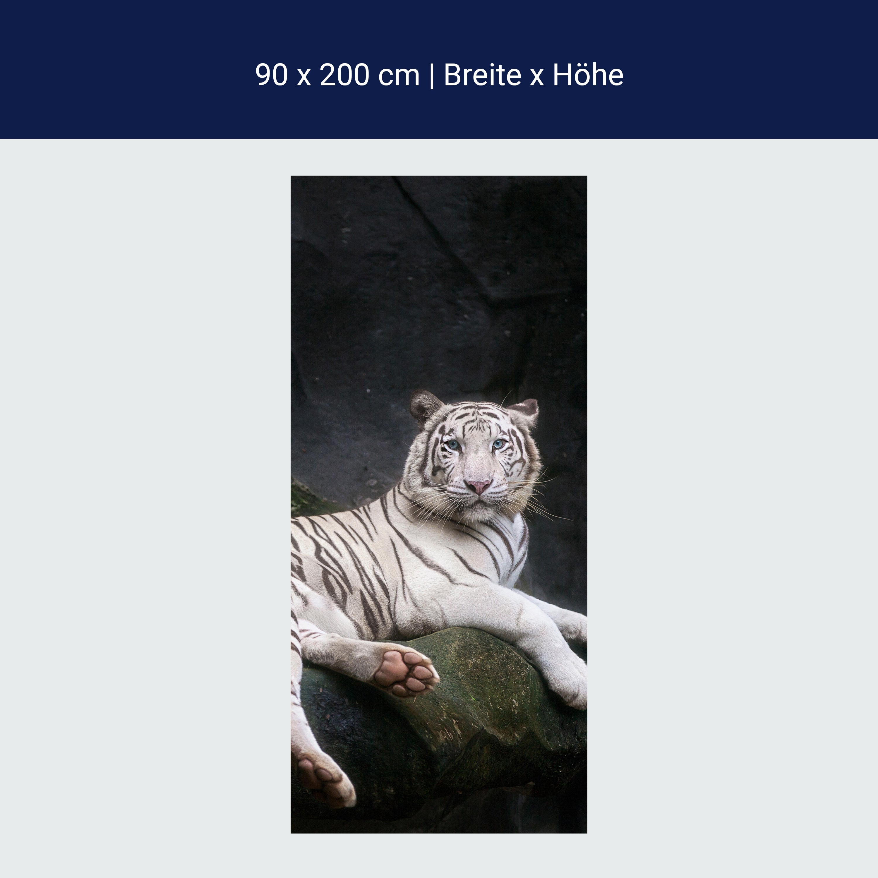 Türtapete Weißer Tiger sitzt in der Höhle M1027 Türtapete Weißer Tiger sitzt in der Höhle M1027