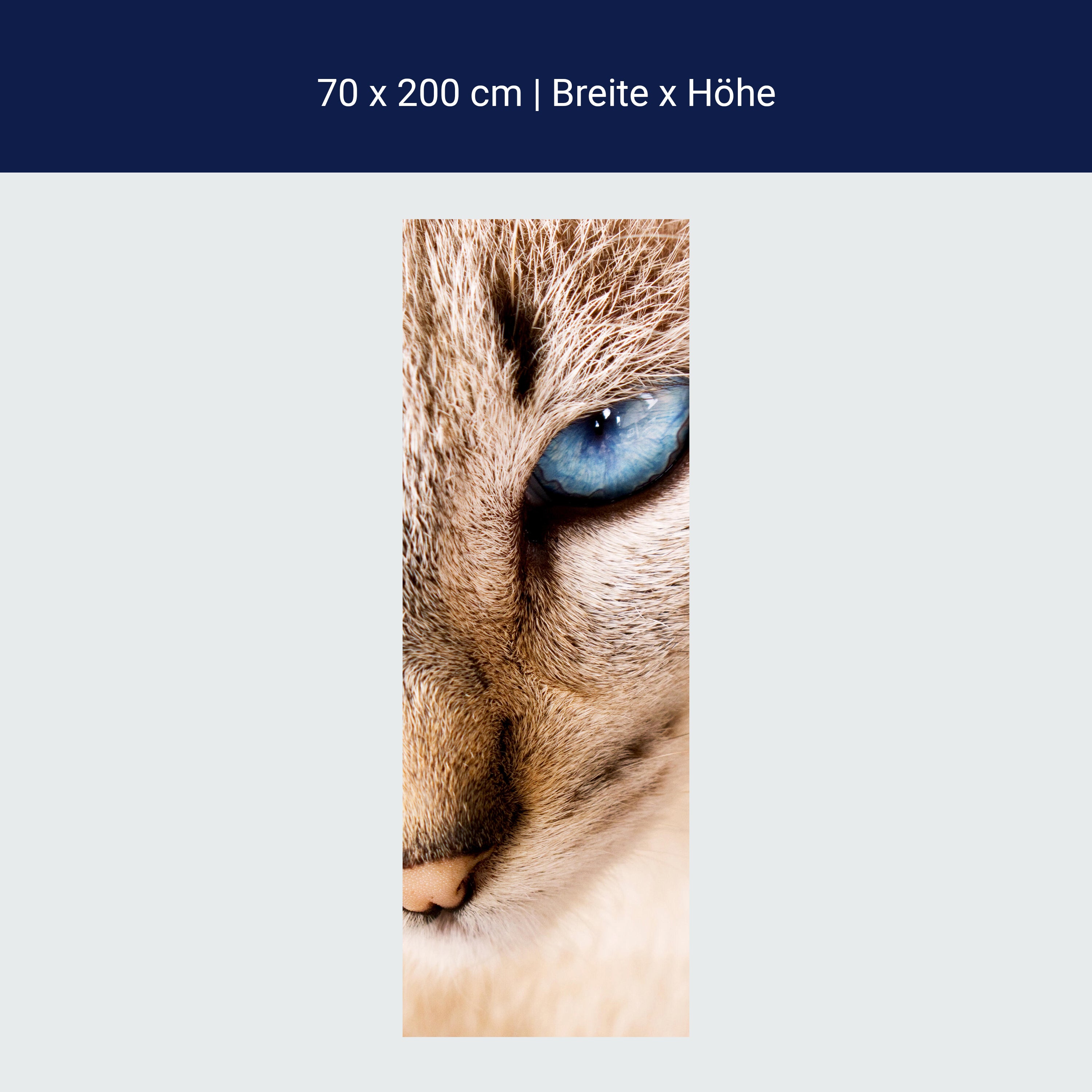 Türtapete Nettes weißes Katzenporträt M1028 Türtapete Nettes weißes Katzenporträt M1028