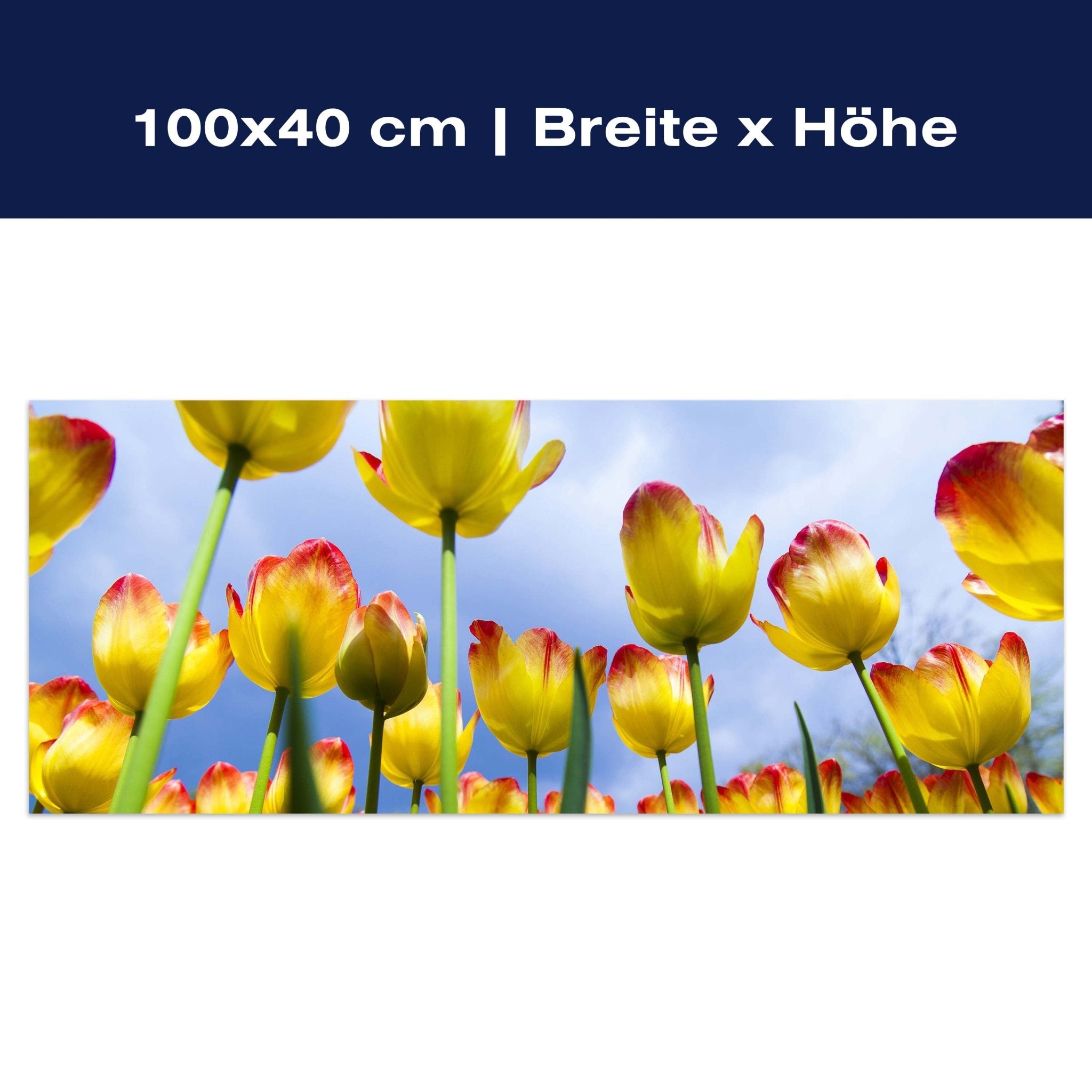 Leinwandbild Tulpen M1029 Leinwandbild Tulpen M1029