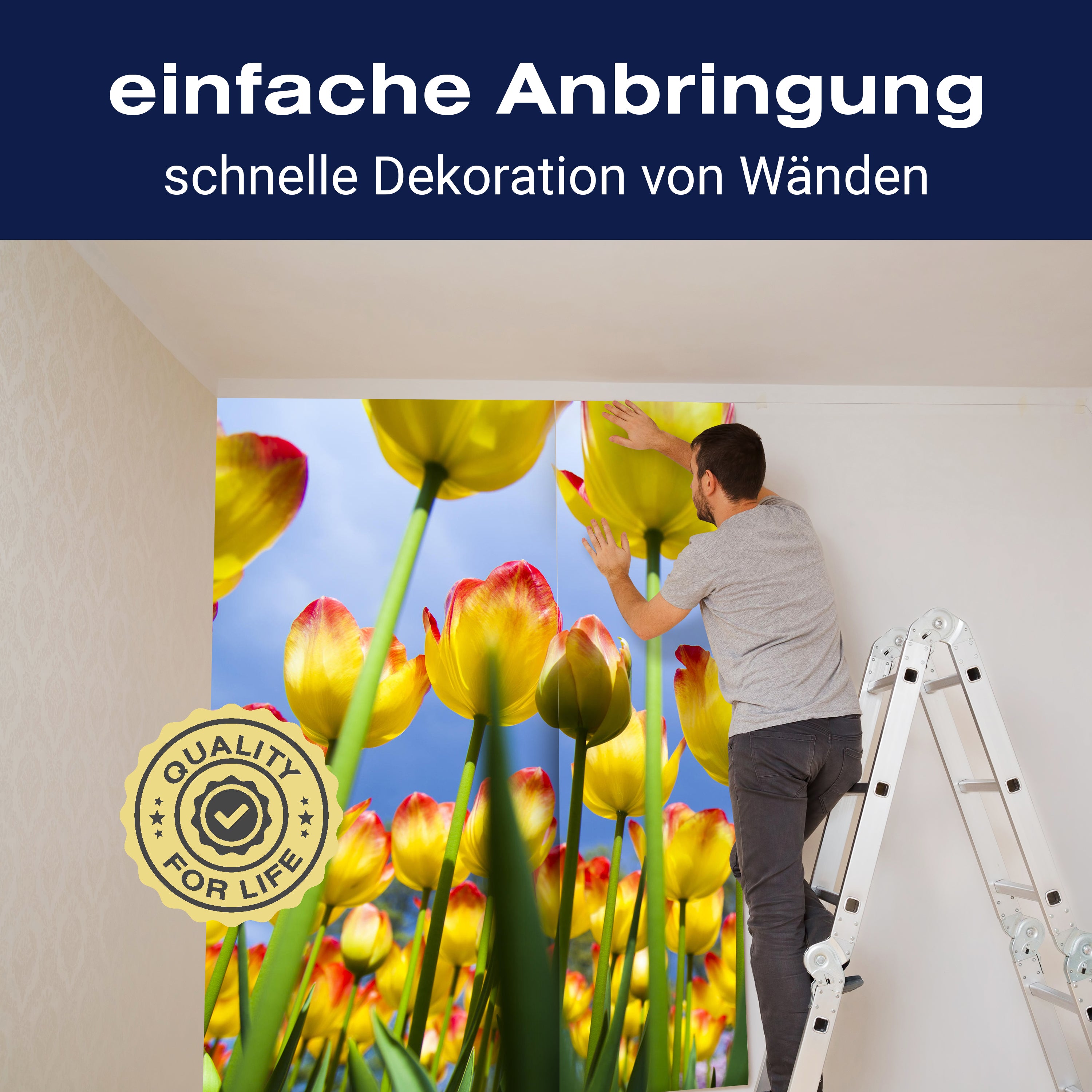 Fototapete Tulpen 2 M1029 - Bild 3 Fototapete Tulpen 2 M1029 - Bild 3