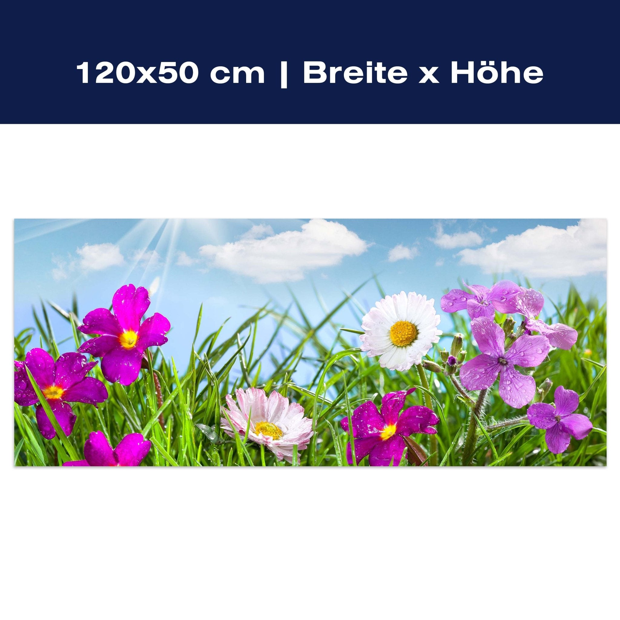 Leinwandbild Blühende Wiese unter blauem Himmel M1044 Leinwandbild Blühende Wiese unter blauem Himmel M1044