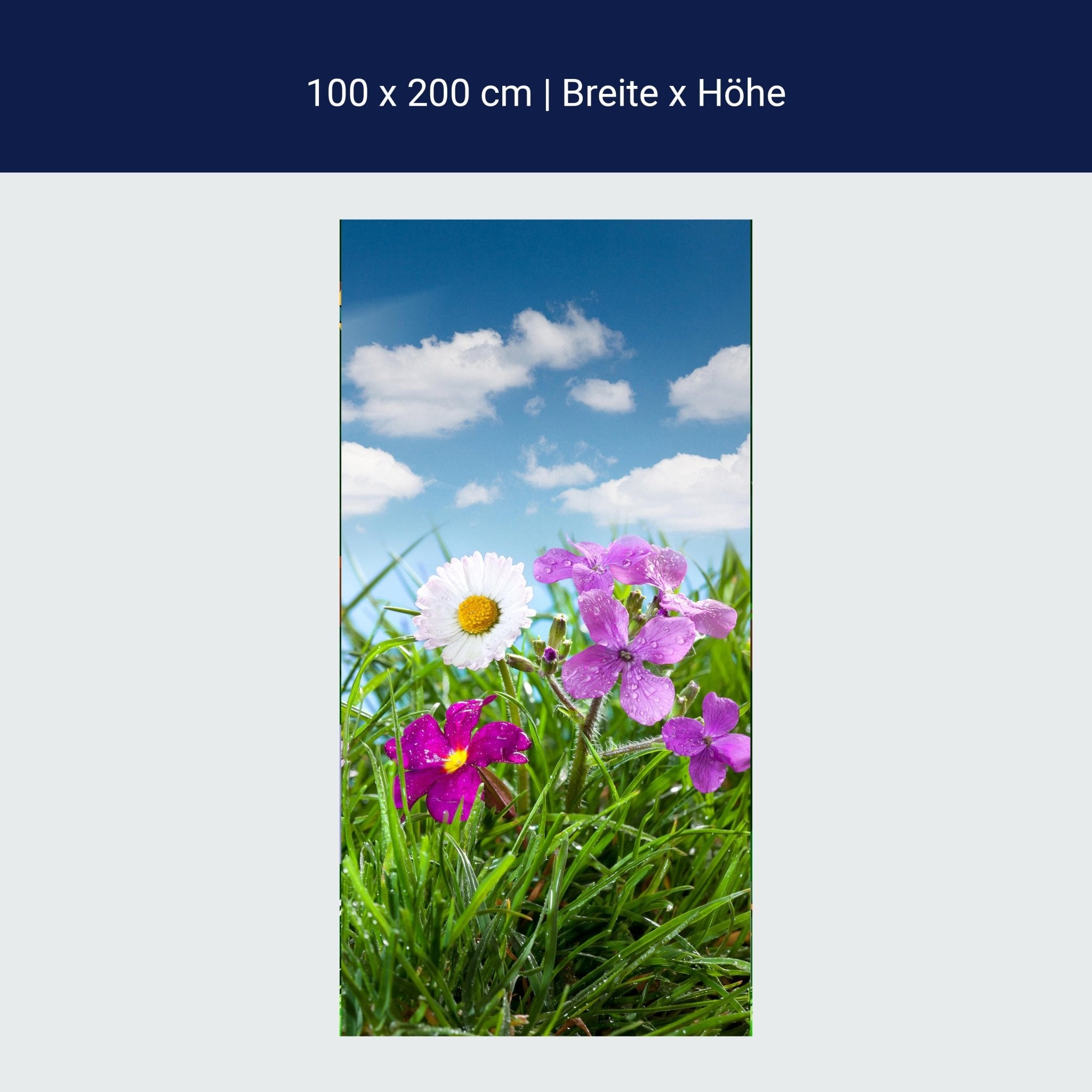 Türtapete Blühende Wiese unter blauem Himmel M1044 Türtapete Blühende Wiese unter blauem Himmel M1044