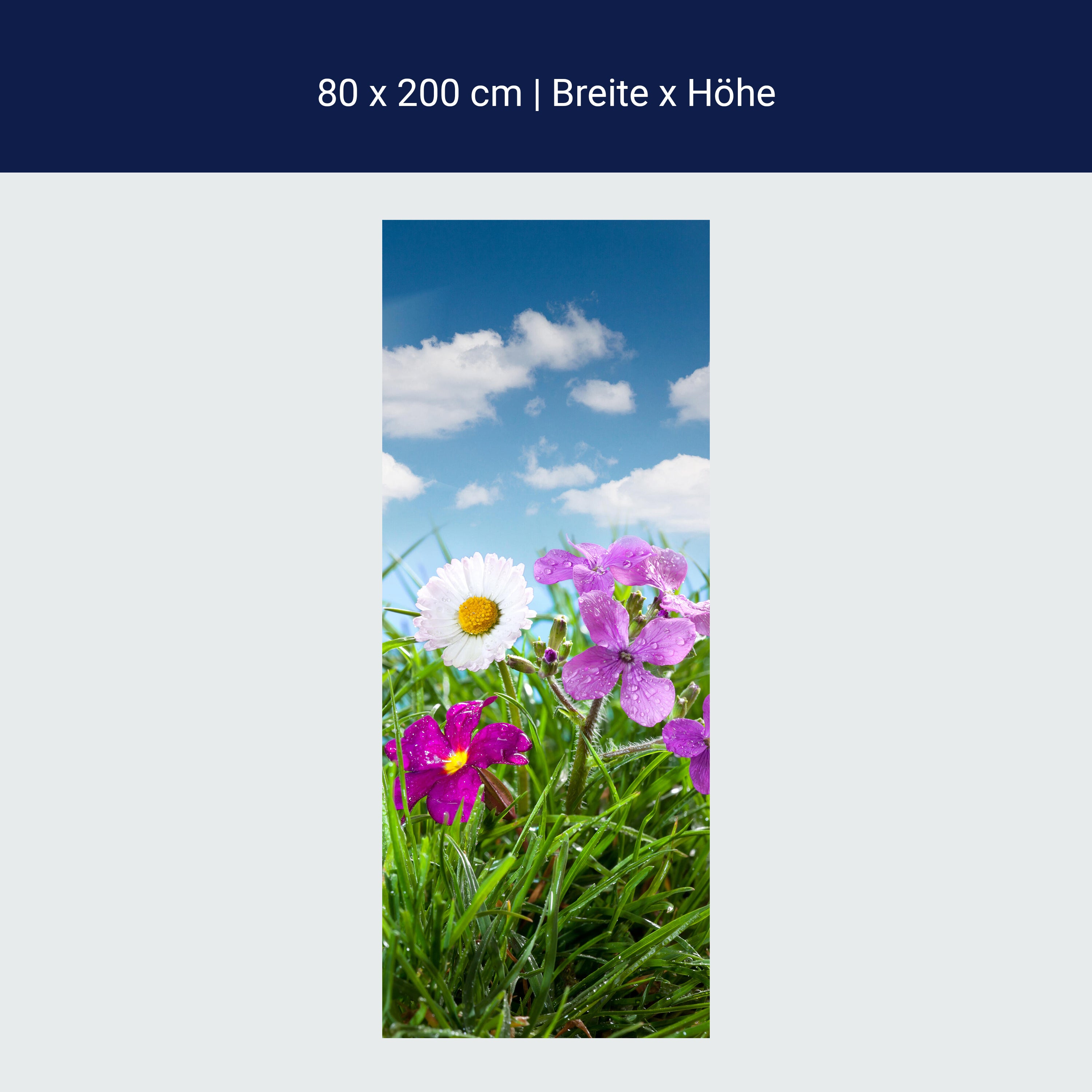 Türtapete Blühende Wiese unter blauem Himmel M1044 Türtapete Blühende Wiese unter blauem Himmel M1044